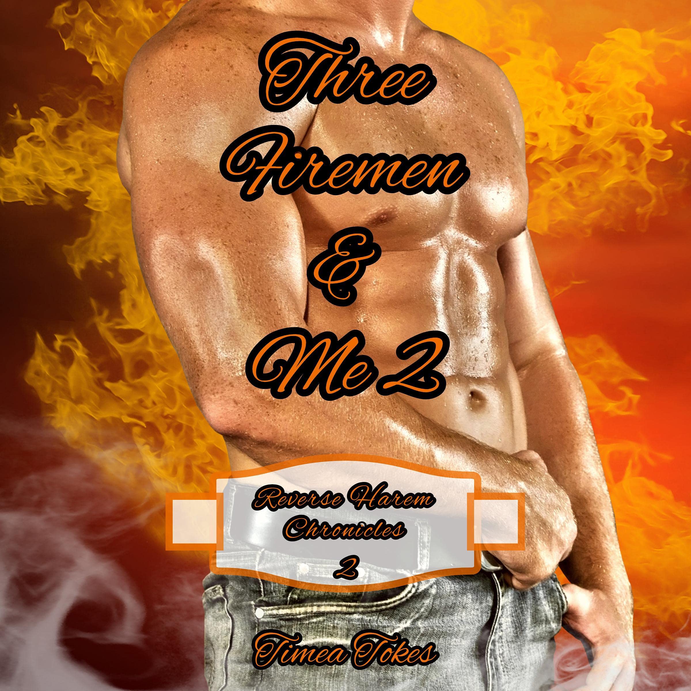 Three Firemen & Me 2