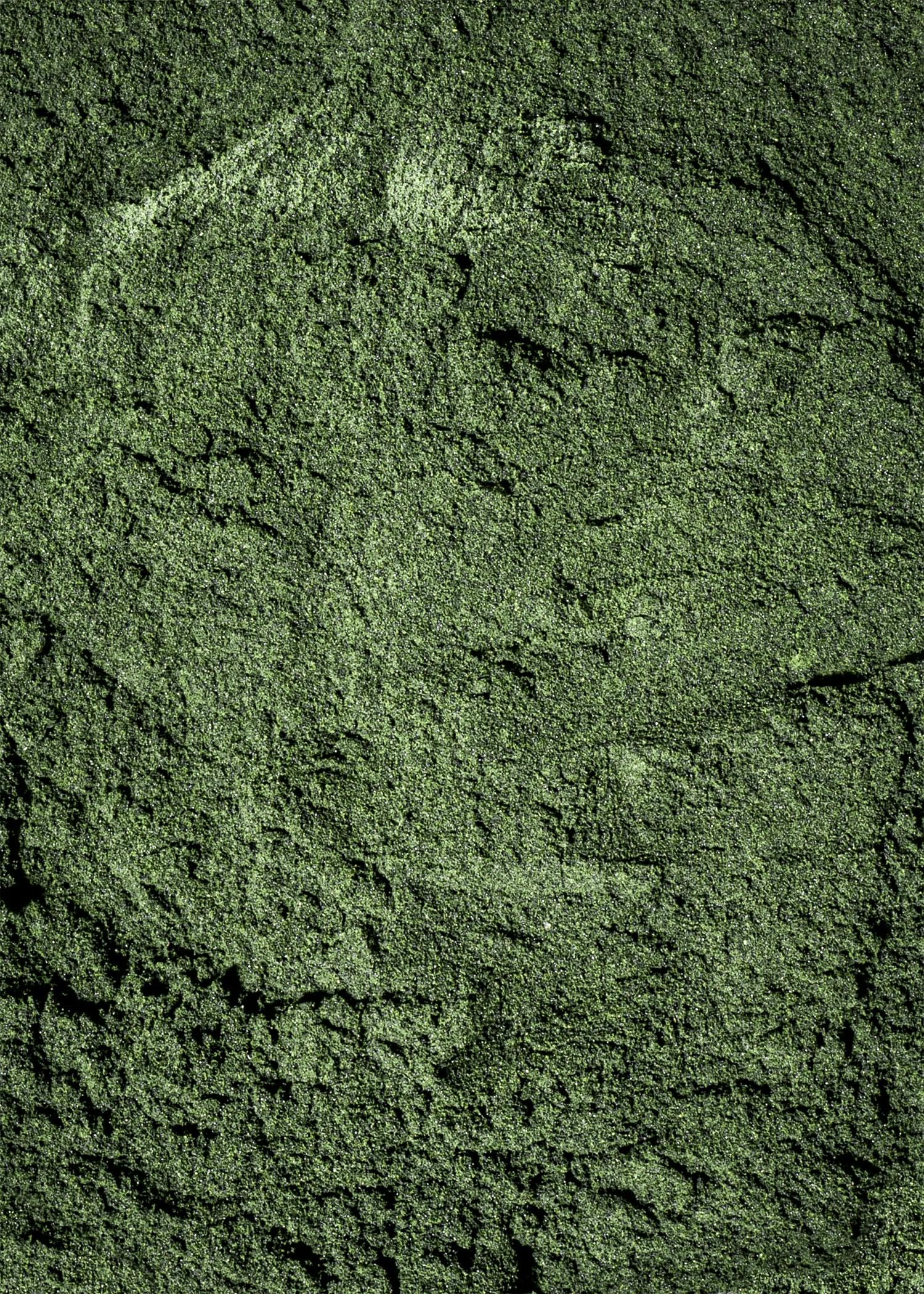 KoRo - Spiruline en poudre bio 500 g