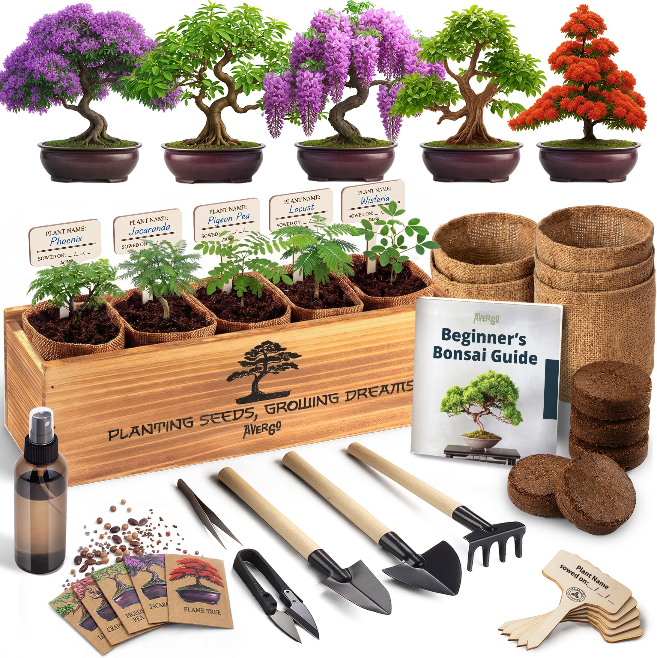 AVERGO Bonsai Tree Kit Deluxe - 5X Unique Japanese Bonzai Trees | Complete Indoor Bonsai Starter Kits from Seeds to Trees – DIY Gardening Gifts for Mother, Women & Men