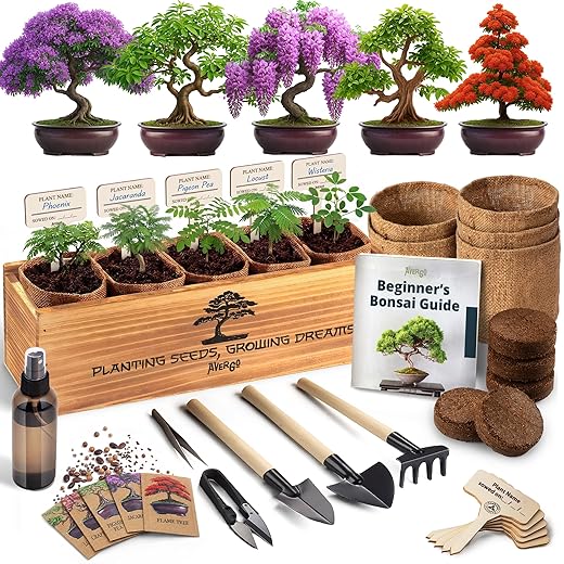 AVERGO Bonsai Tree Kit Deluxe - 5X Unique Japanese Bonzai Trees | Complete Indoor Bonsai Starter Kits from Seeds to Trees – DIY Gardening Gifts for Mother, Women & Men