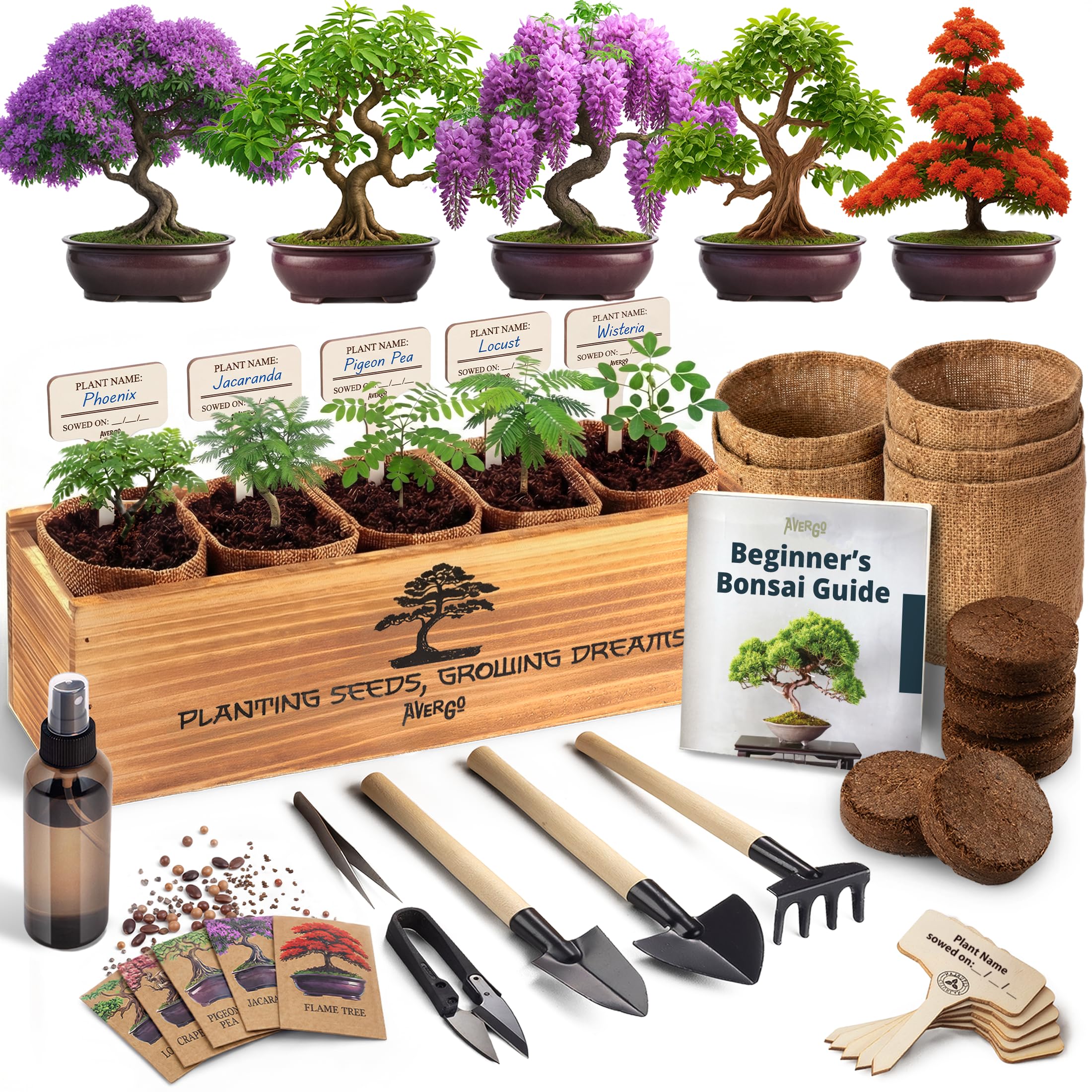 AVERGO Bonsai Tree Kit Deluxe