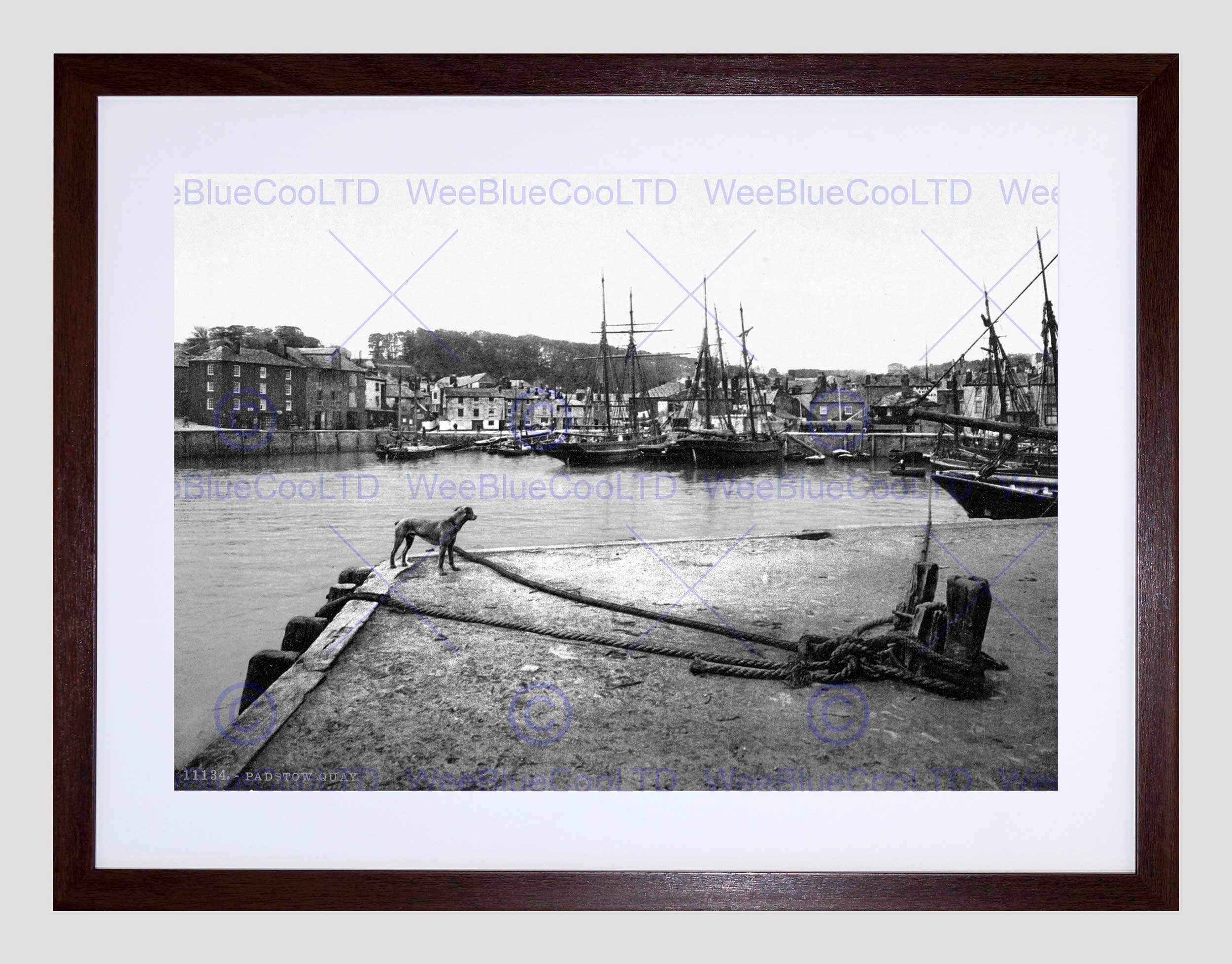 Wee Blue Coo Padstow Quay Cornwall England Vintage History Old BW Framed Wall Art Print