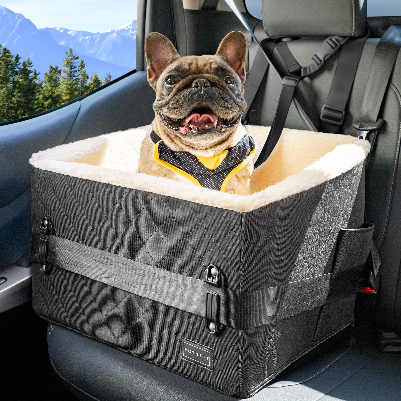 PETSFIT Dog Car Seats for Small Dogs, Soft Foam Dog Booster Seat with Patented Safety Buckles, Storage Pockets and Detachable Clip-On Safety Leash for Medium Pets Under 13 KG (Black)