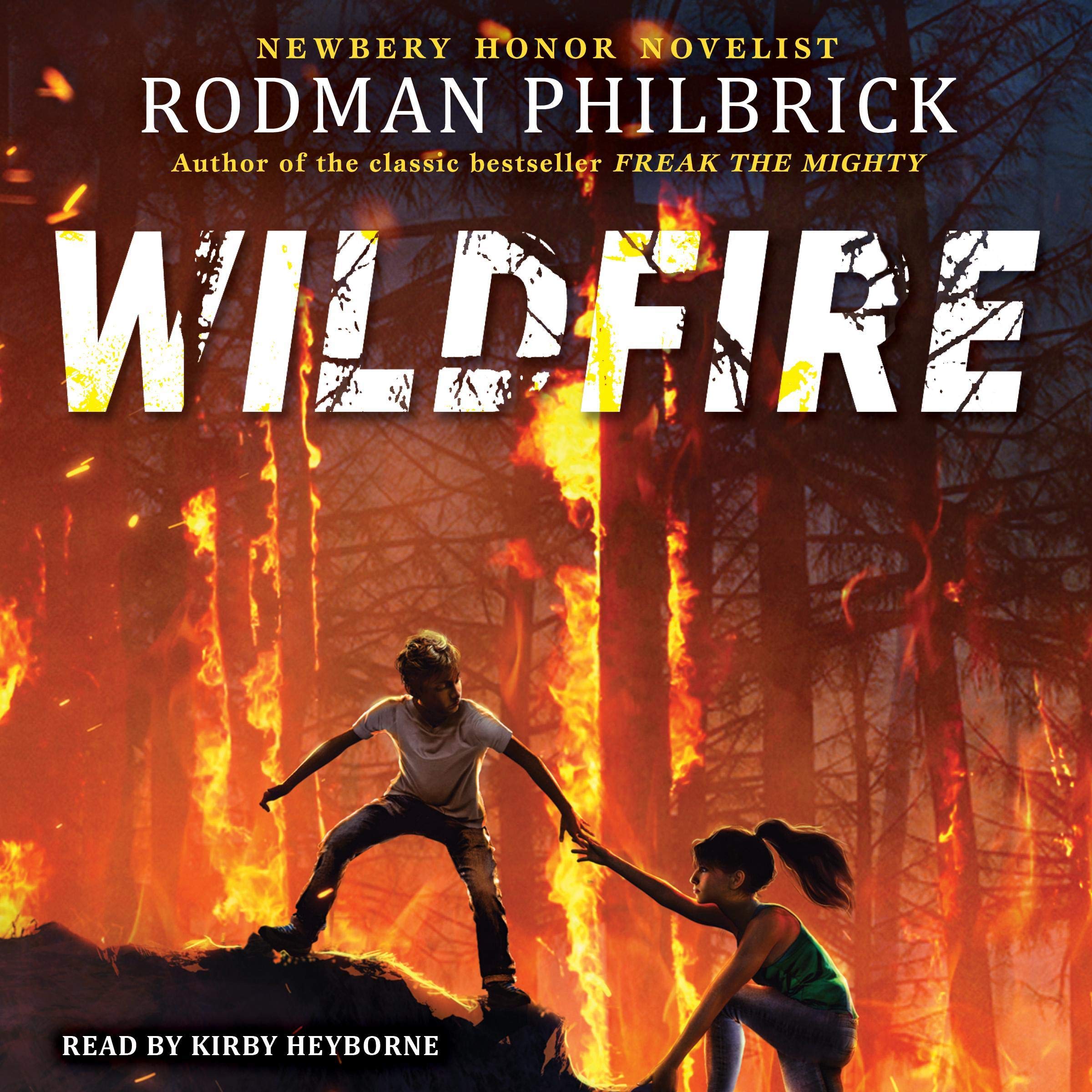 Cover art for Wildfire: A Novel