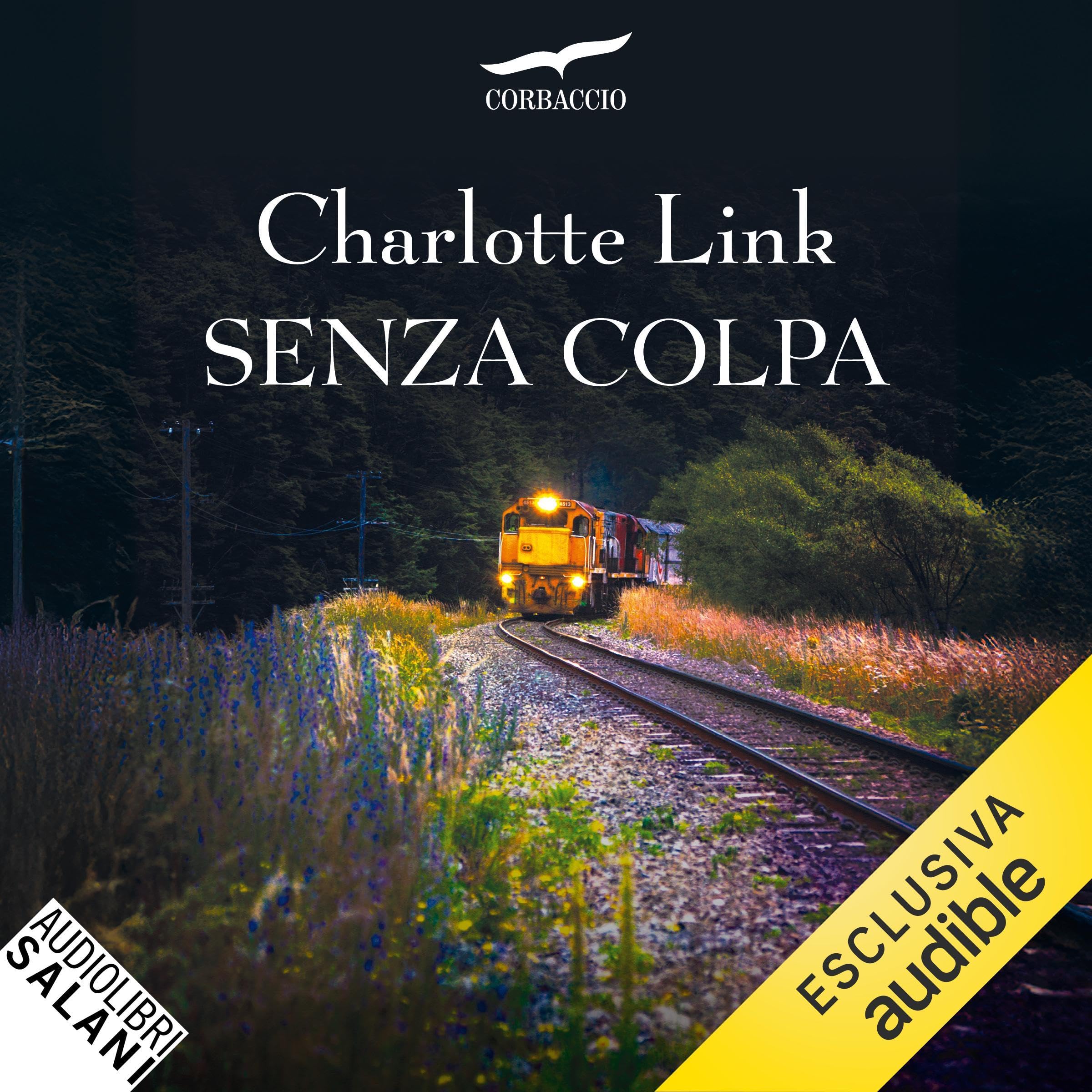 Senza colpa: Le indagini di Kate Linville, Vol.3