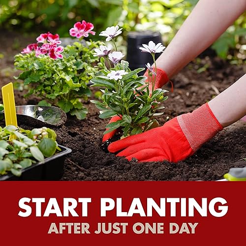 Miniatura 8 de Spectracide Concentrado para matar malas hierbas y hierbas, 1 galón, uso en patios, pasarelas y entradas