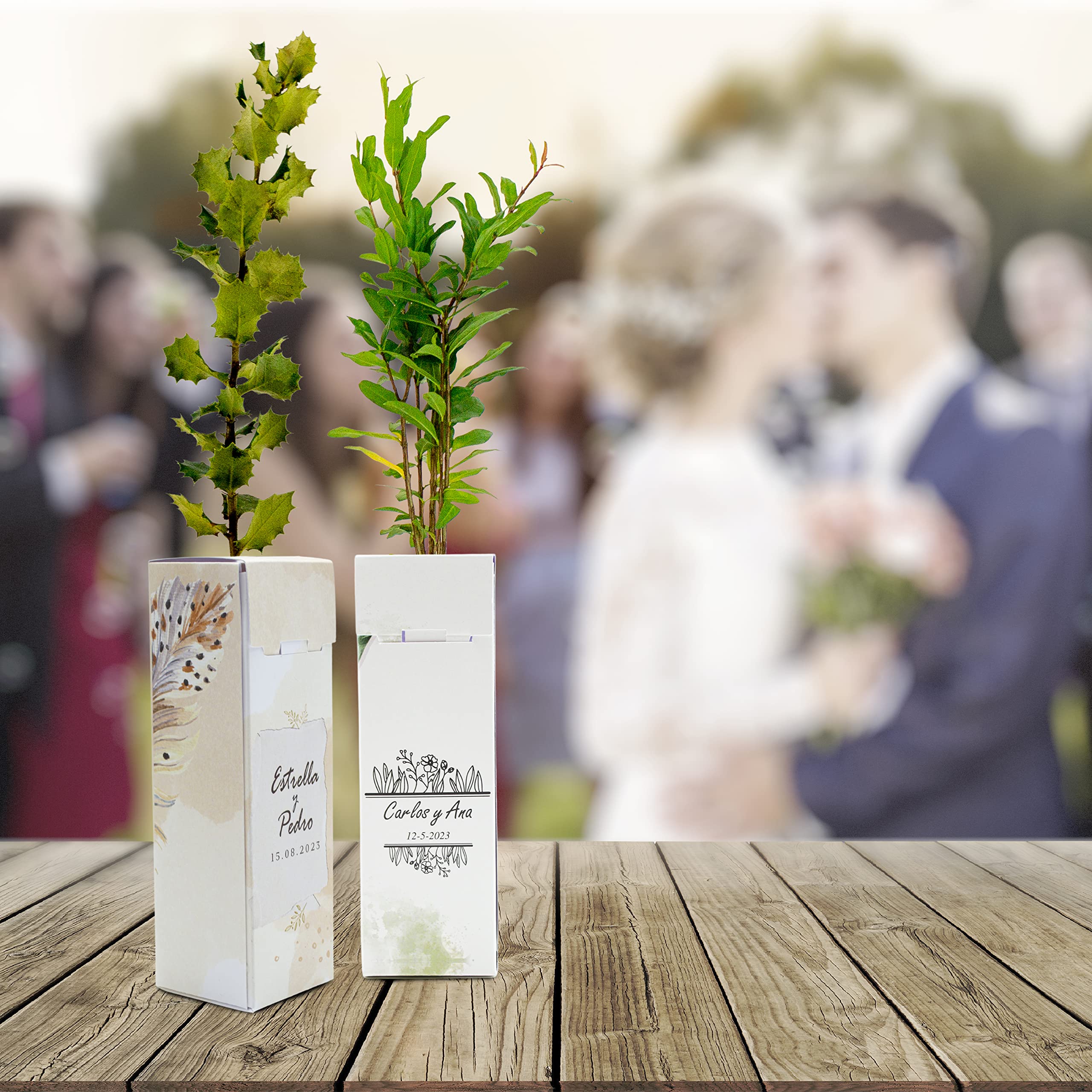 de regalo – Pack 25 Uds en Cajas de Cartón Personalizadas con la Imagen o Texto que Quieras – Amplia variedad de Especies – Promociones, Eventos, Bodas - Regala Vida