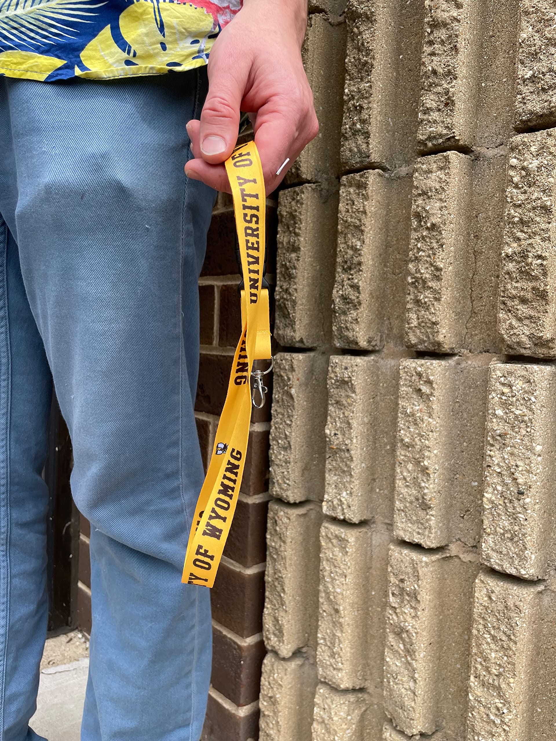 Desert Cactus University of Wyoming Lanyard UWYO Cowboys Car Keys ID Badge Holder Keychain Detachable Breakaway Snap Buckle (Yellow)