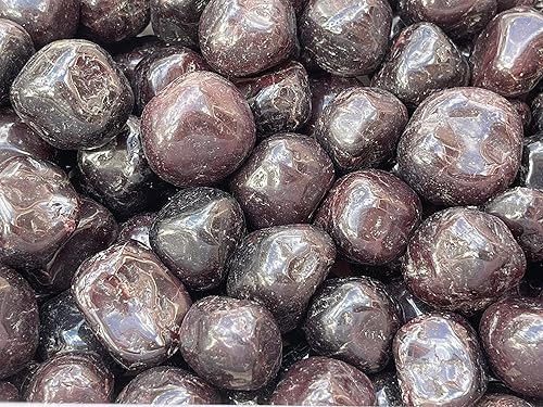 Miniatura 443 de GAF TREASURES Piedras pulidas de ojo de tigre de 1/2 libra, piedra preciosa natural pulida, cristales curativos de ojo de tigre (ojo de tigre)