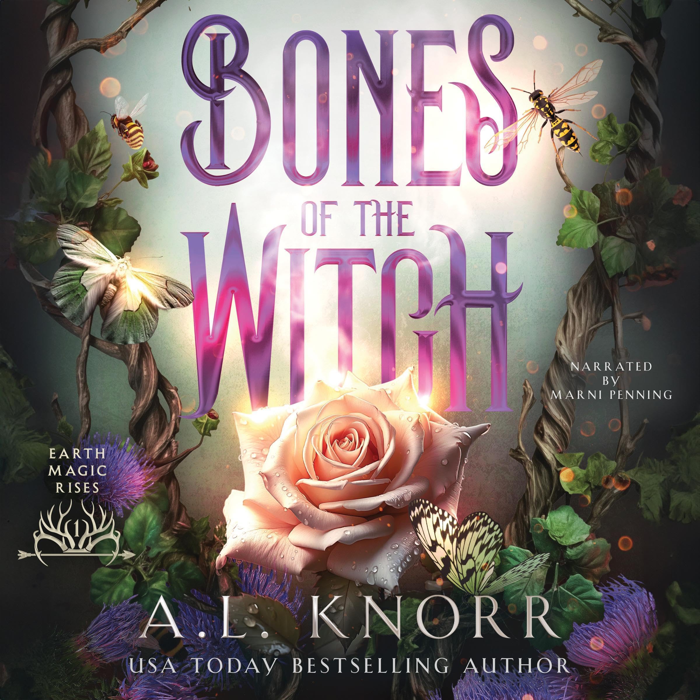 Cover art for Bones of the Witch: A Young Adult Fae Fantasy