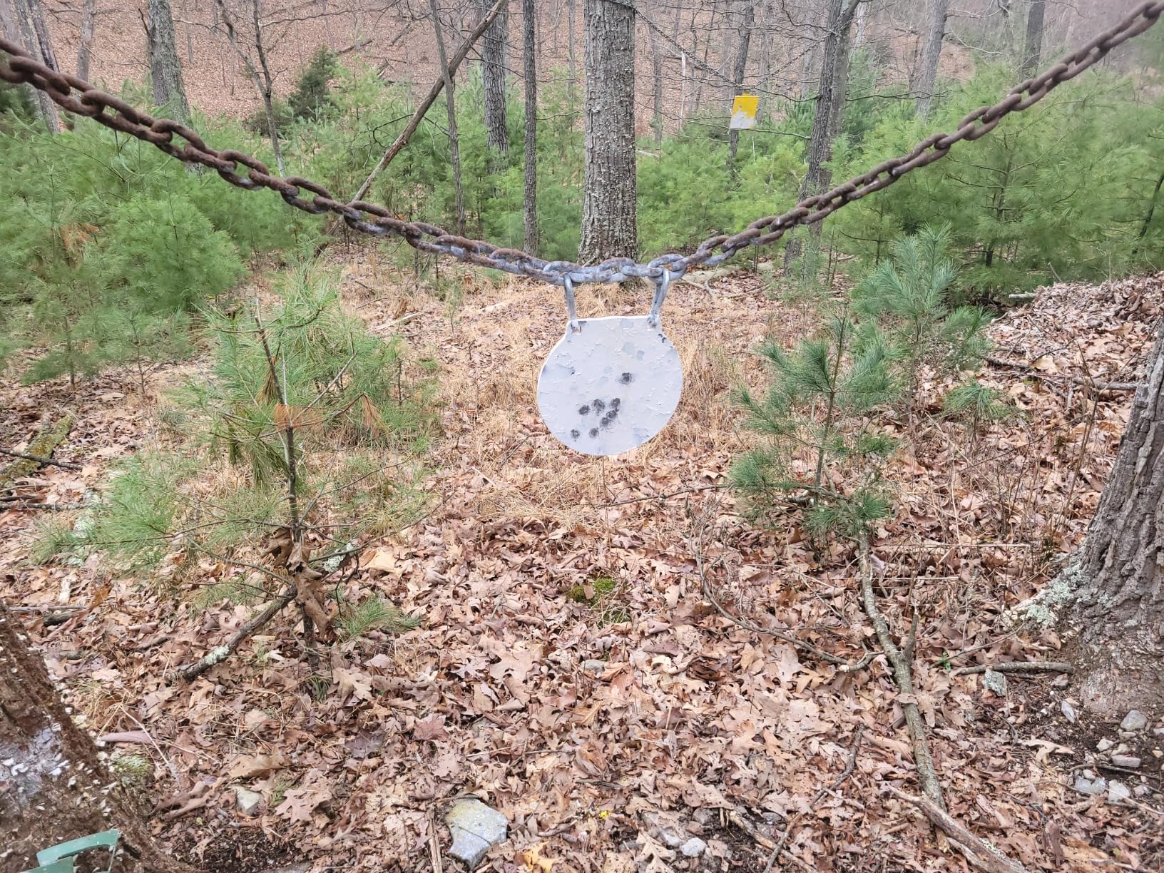 Amazon.com : Holosun RML Compact Rail Mounted Laser Pointer Sight ...