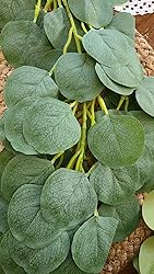 Ageomet 2 Packs Artificial Eucalyptus Garland