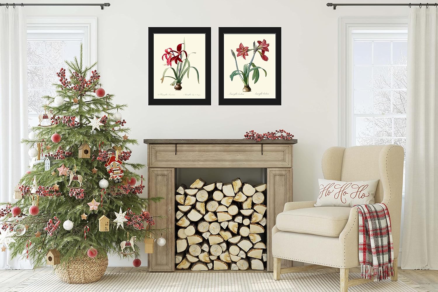 Christmas Holiday Botanical Prints Red Amaryllis Wall Art Set of 2 Beautiful Antique Vintage Flowers Garden Nature Plants Home Decor to Frame AMAR (5x7 inch)