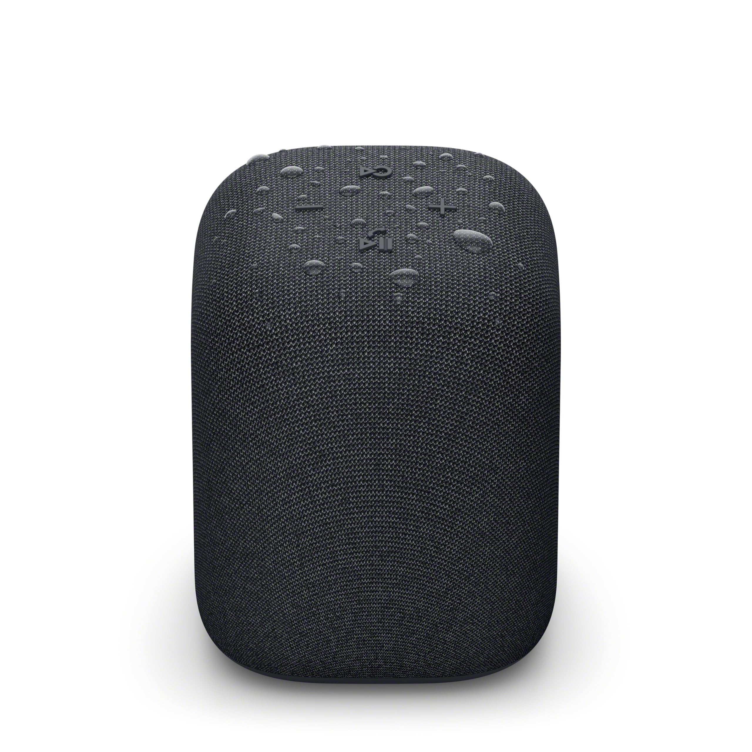 Sony Enceinte LinkBuds - Enceinte Portable sans Fil Bluetooth, IPX4, Résistante à l'eau, Batterie de 25 Heures, Qualité d'Appel Clair, Outdoor, Voyage - Noir