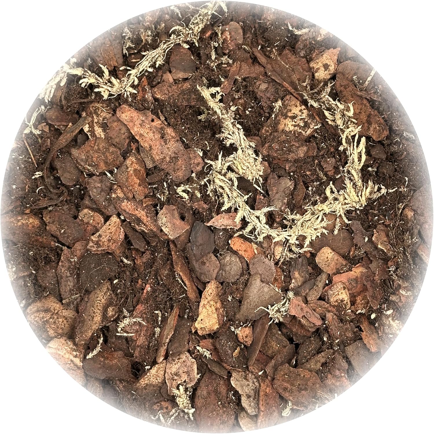 Garten Lux Premium Orchideenerde - Substrat pour orchidées (2,5 L, 6 composants, pour une croissance saine et un soin optimal de vos plantes d'orchidées, substrat idéal pour tout type de) — vue 5