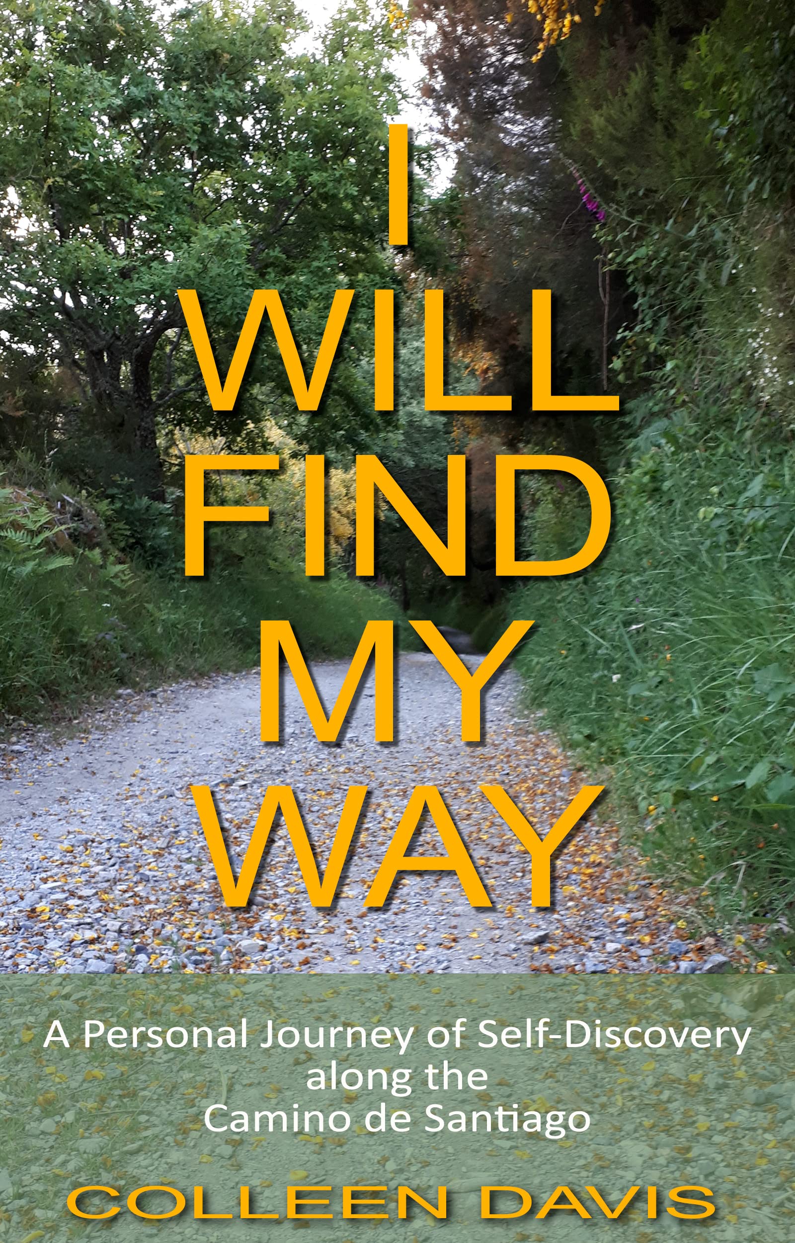 I Will Find My Way: A Personal Journey of Self-Discovery along the Camino de Santiago