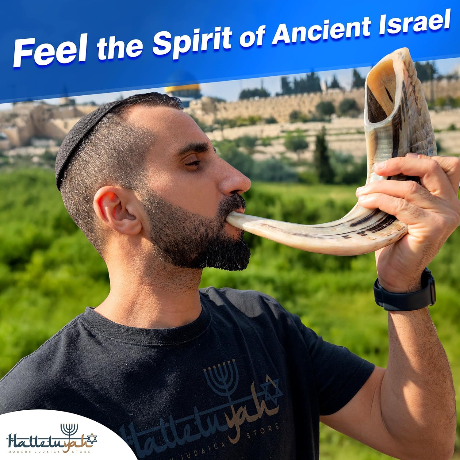 Sacred Ram Horn 16"-18" Shofar Set by HalleluYAH | Handcrafted in Israel