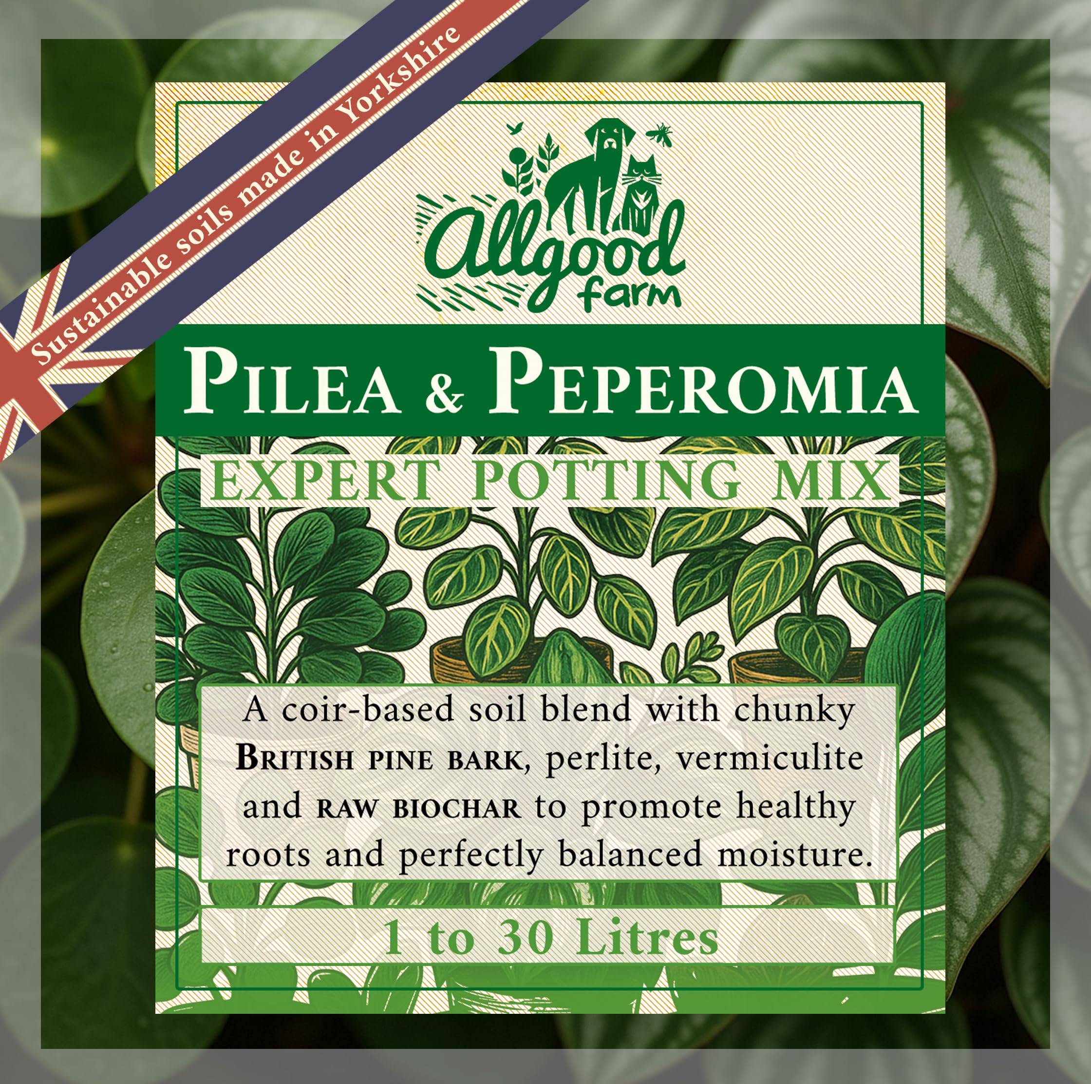 Allgood Farm Pilea & Peperomia Soil - Expert Potting Soil Mix for Chinese Money Plant, Baby Rubberplant, String of Turtles (10 Litres)