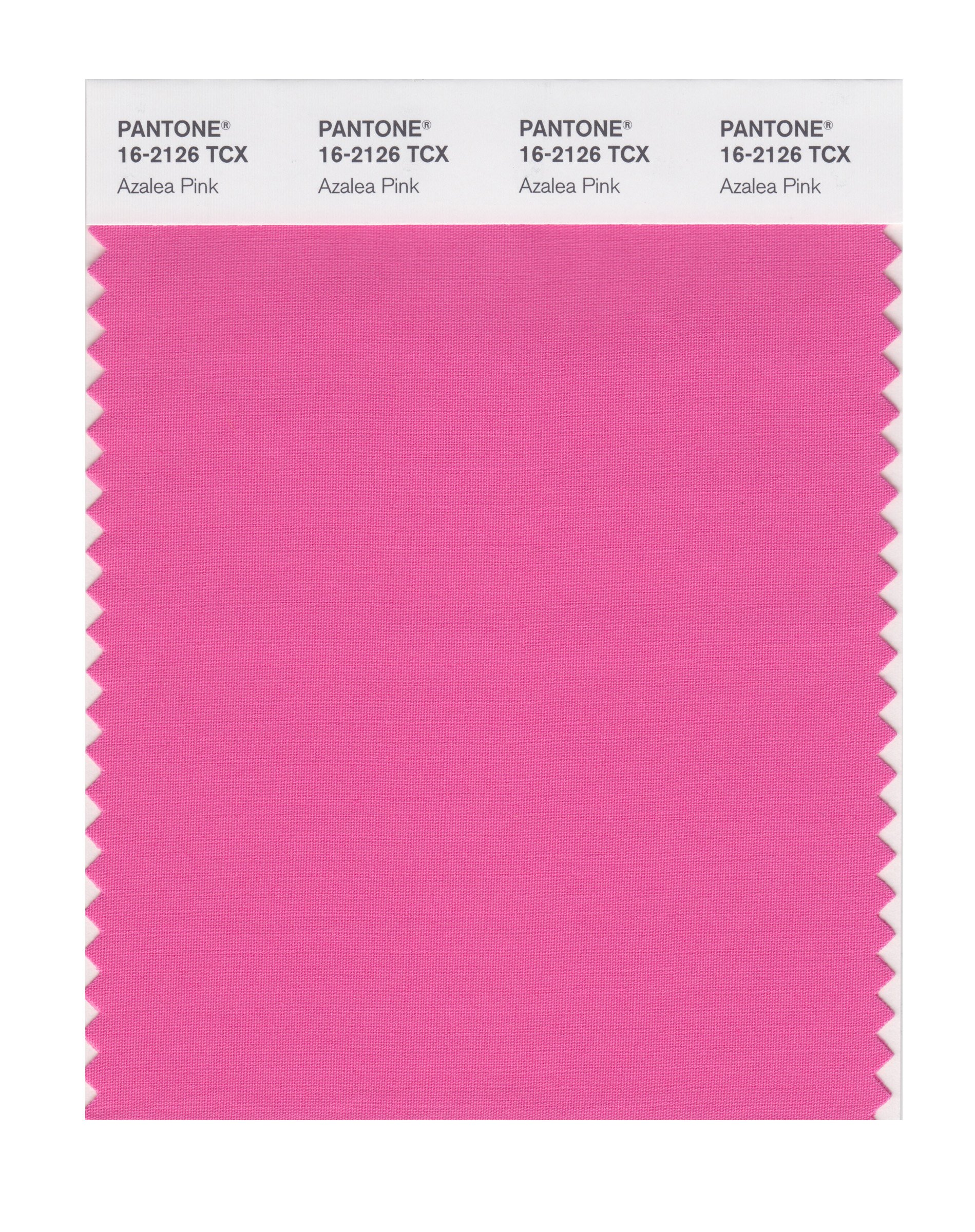 PANTONE Smart 16-2126X Color Swatch Card, Azalea Pink - Wall Decor