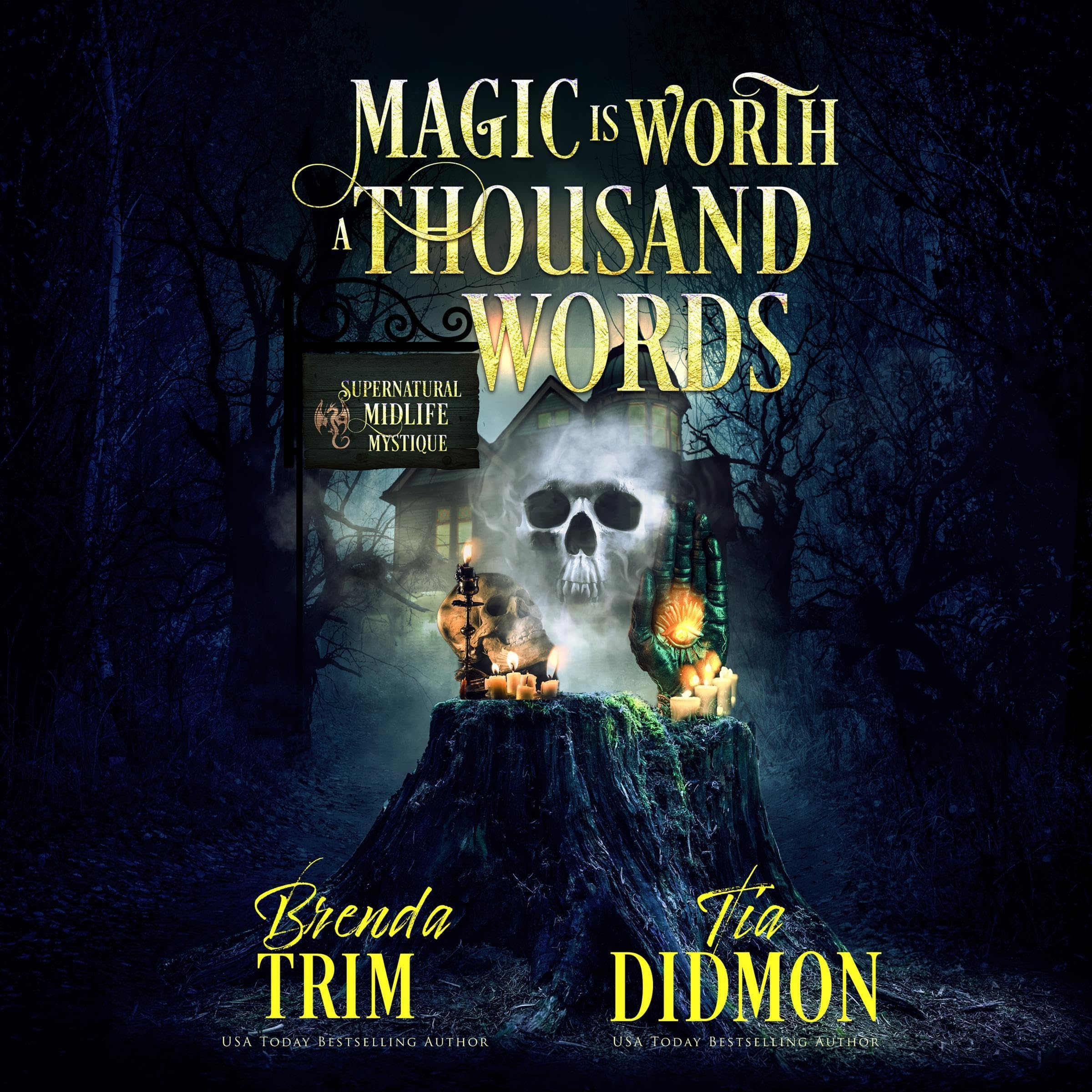 Cover art for Magic Is Worth a Thousand Words