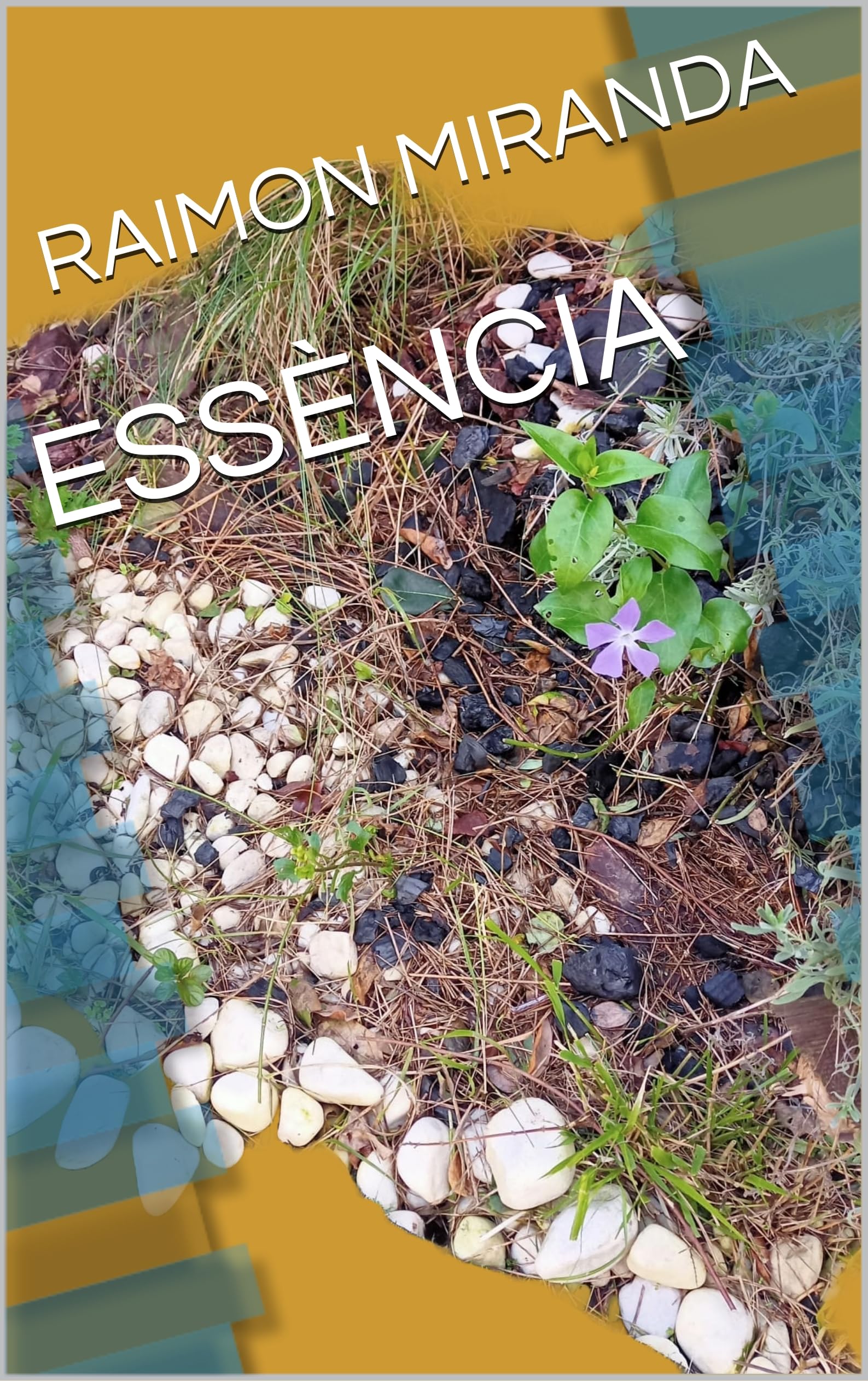 ESSÈNCIA Catalan Edition retrouvez l'âme et les racines de la Catalogne