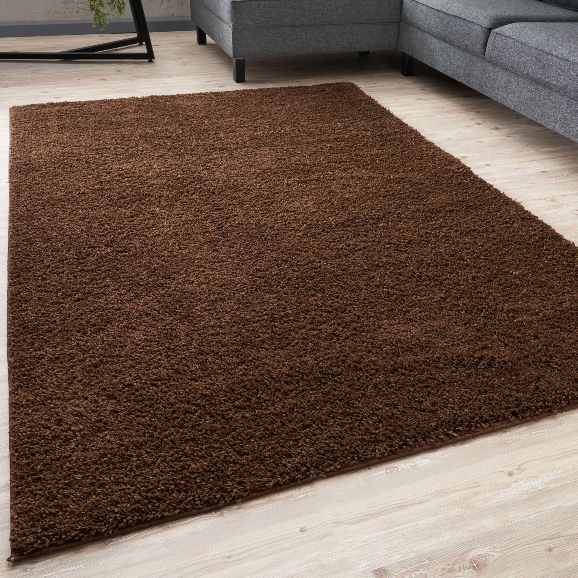 THE RUGS Living Room Rug - Shaggy Soft And Elegant Carpets For The Bedrooms And Kitchen, Easy To Clean, Many Different Sizes (240x340 cm, Brown)