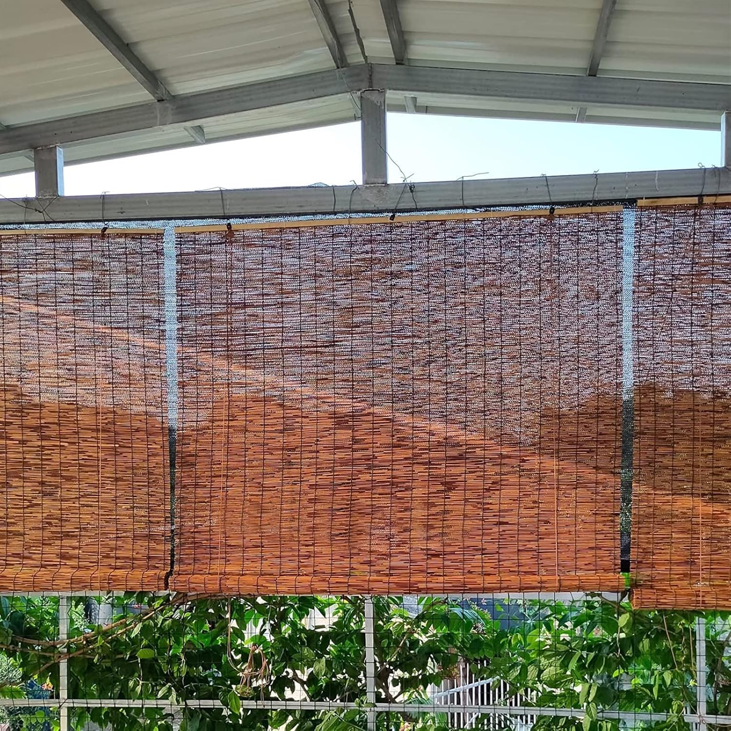 Licht filteren roll-up blind, bamboe raam jaloezieën, zonnescherm