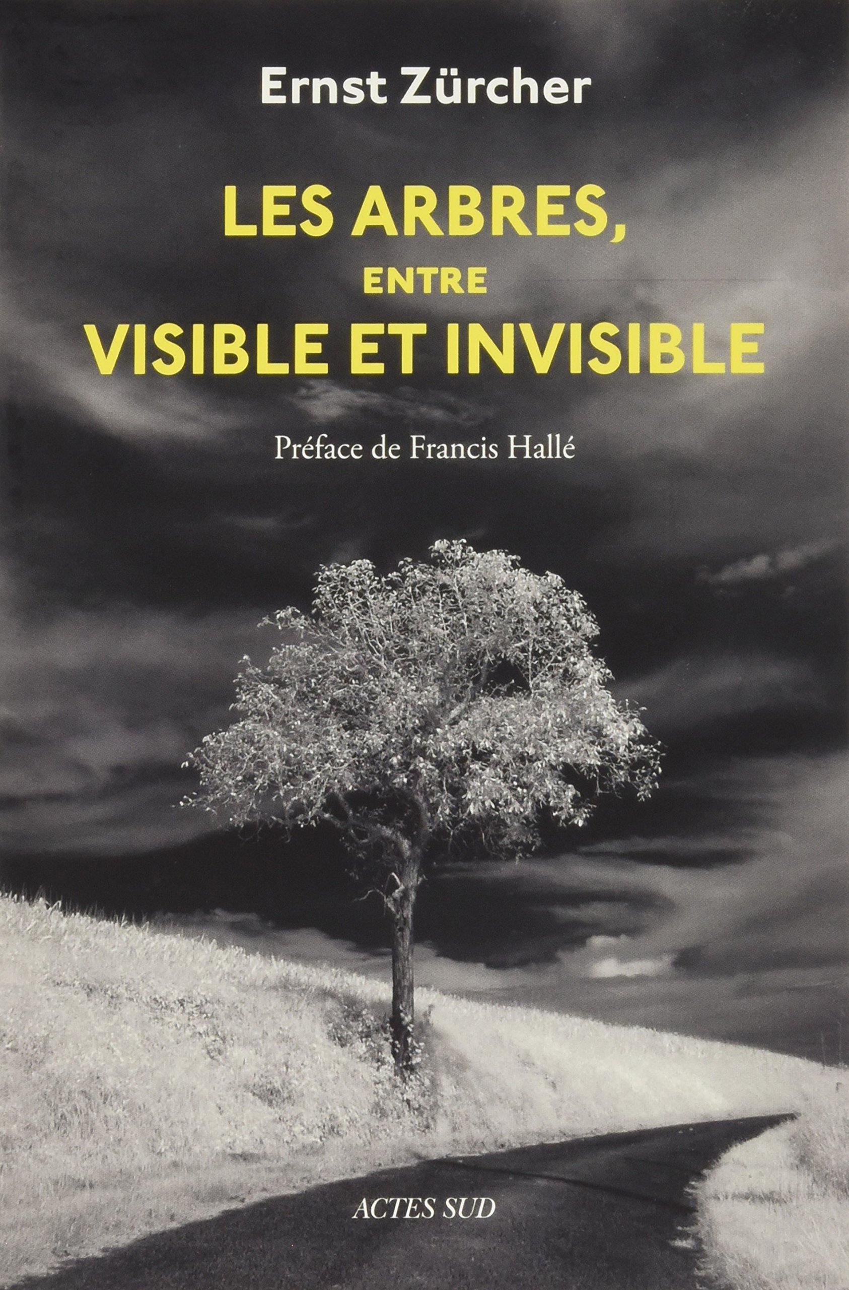 Les Arbres, entre visible et invisible: S'étonner, comprendre, agir
