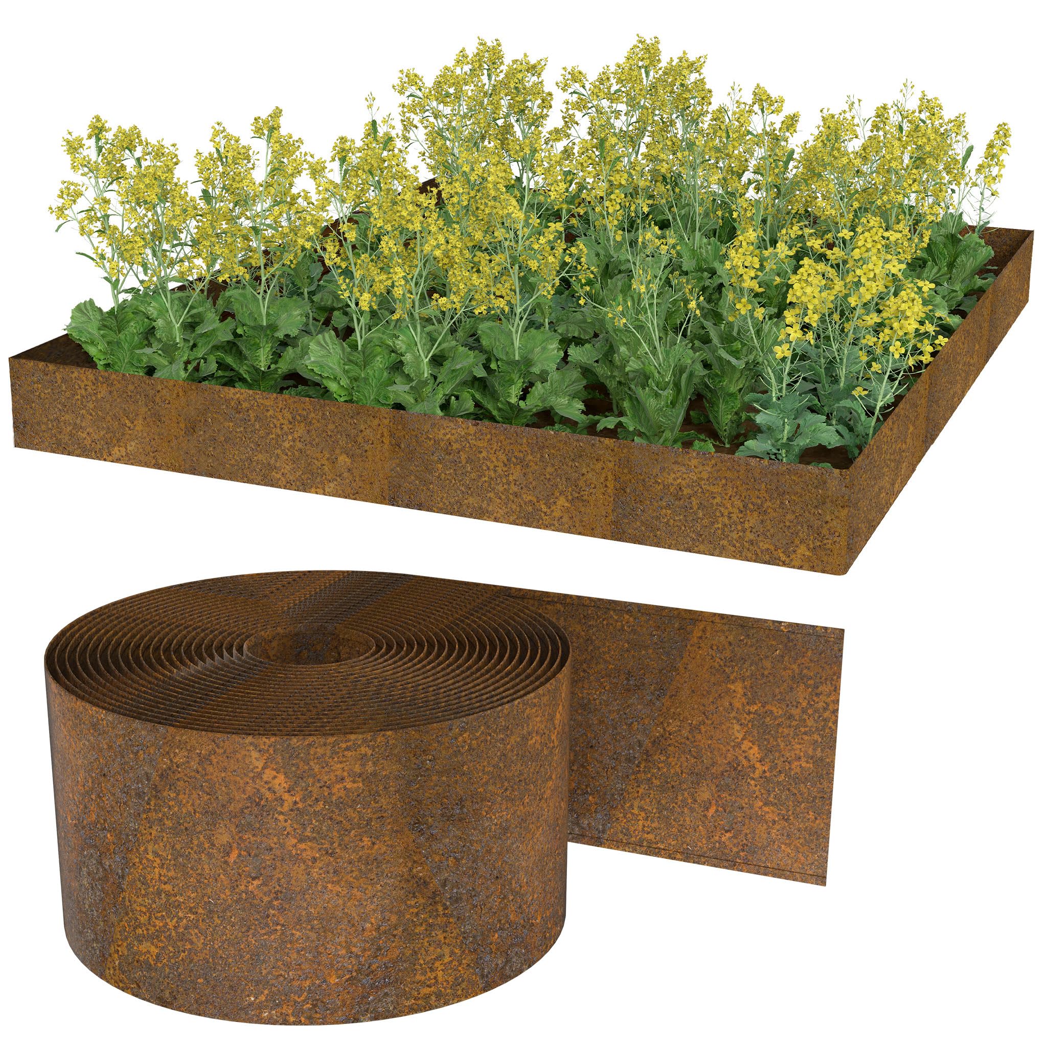 Bordure de pelouse en métal - Rouleau de 10 m - Plat - Aspect rouille
