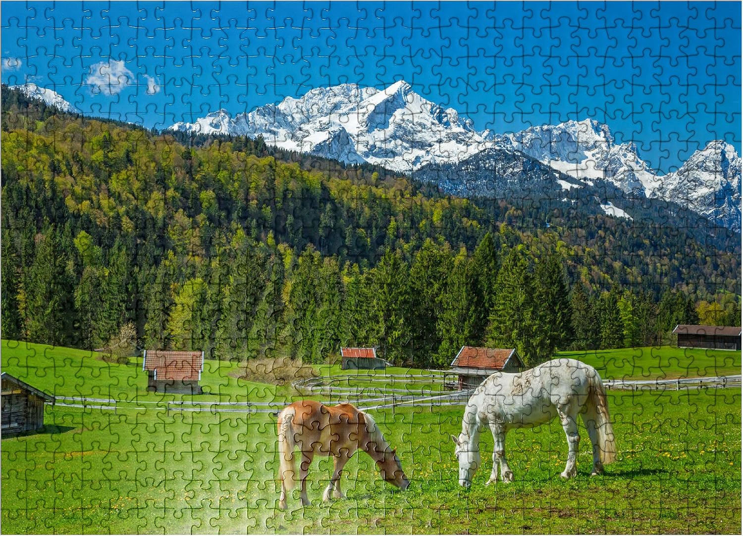 MyPuzzle Horses Near Kaltenbrunn Against Zugspitzgruppe (2962m), Garmisch-Partenkirchen - Premium 500 Piece Jigsaw Puzzle for Adults