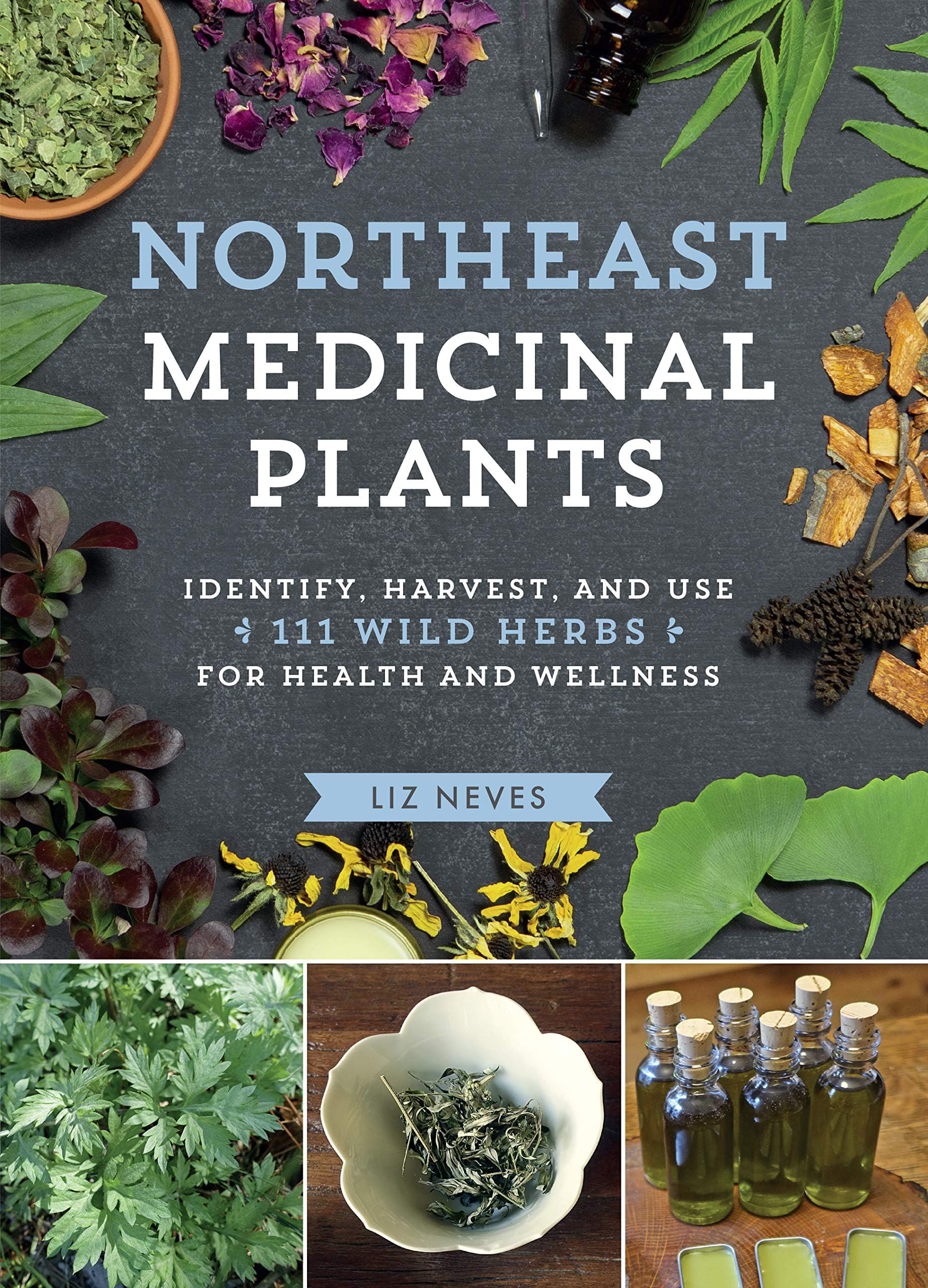 Northeast Medicinal Plants: Identify, Harvest, and Use 111 Wild Herbs for Hea...