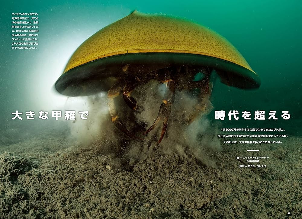 ナショナル ジオグラフィック日本版2022年8月号[雑誌] | ナショナル