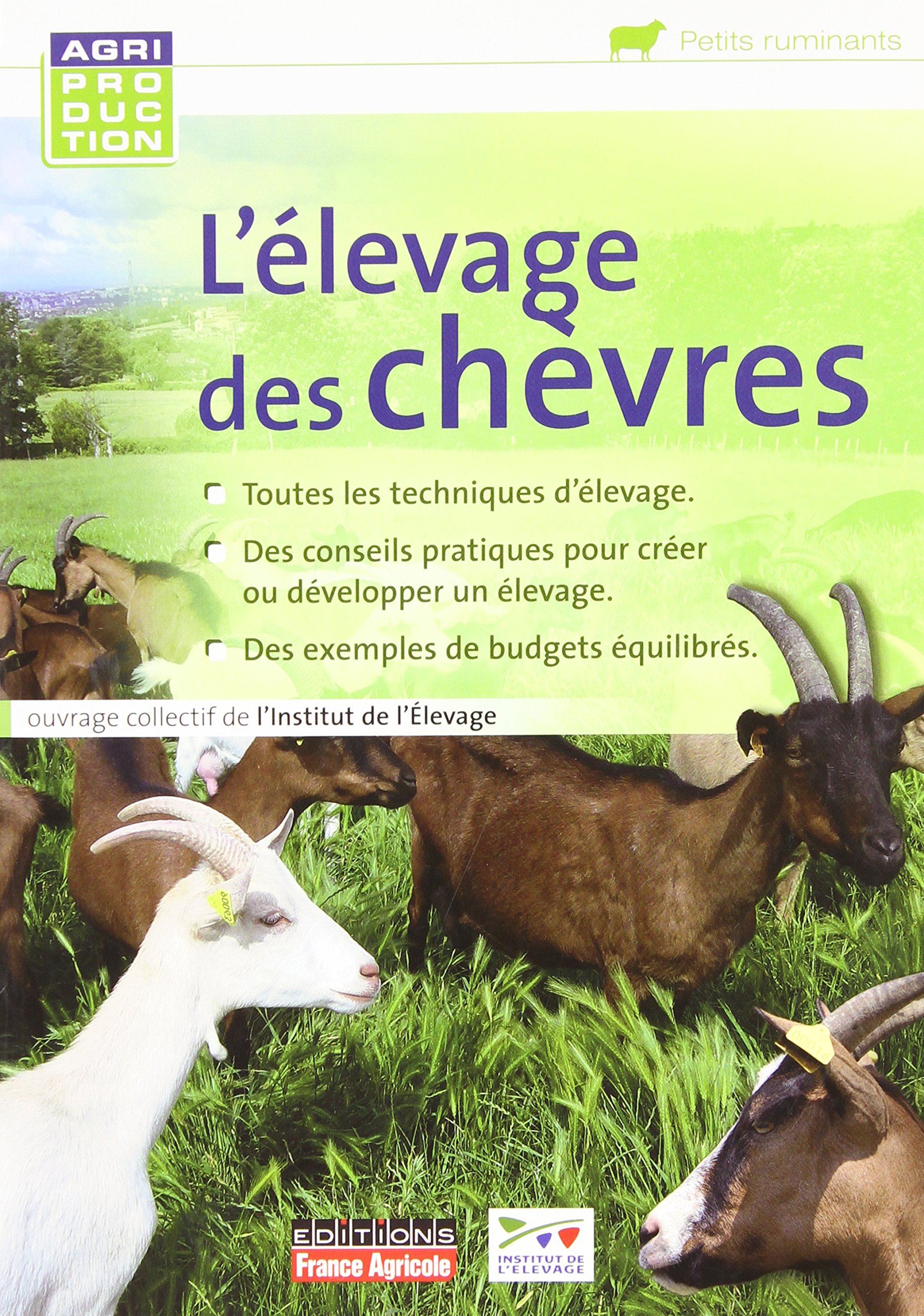 L'élevage des chèvres