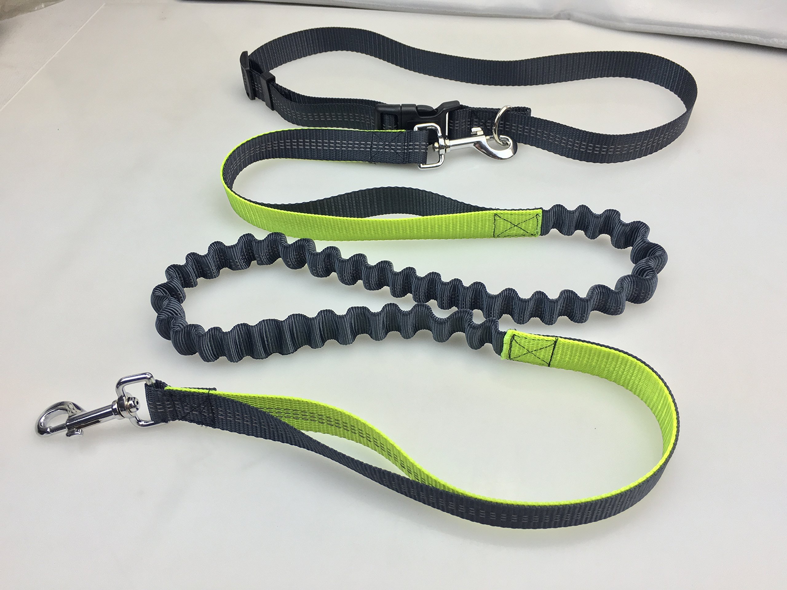 Laisse reflechissante running dog leash extensible haute visibilité avec ceinture de taille