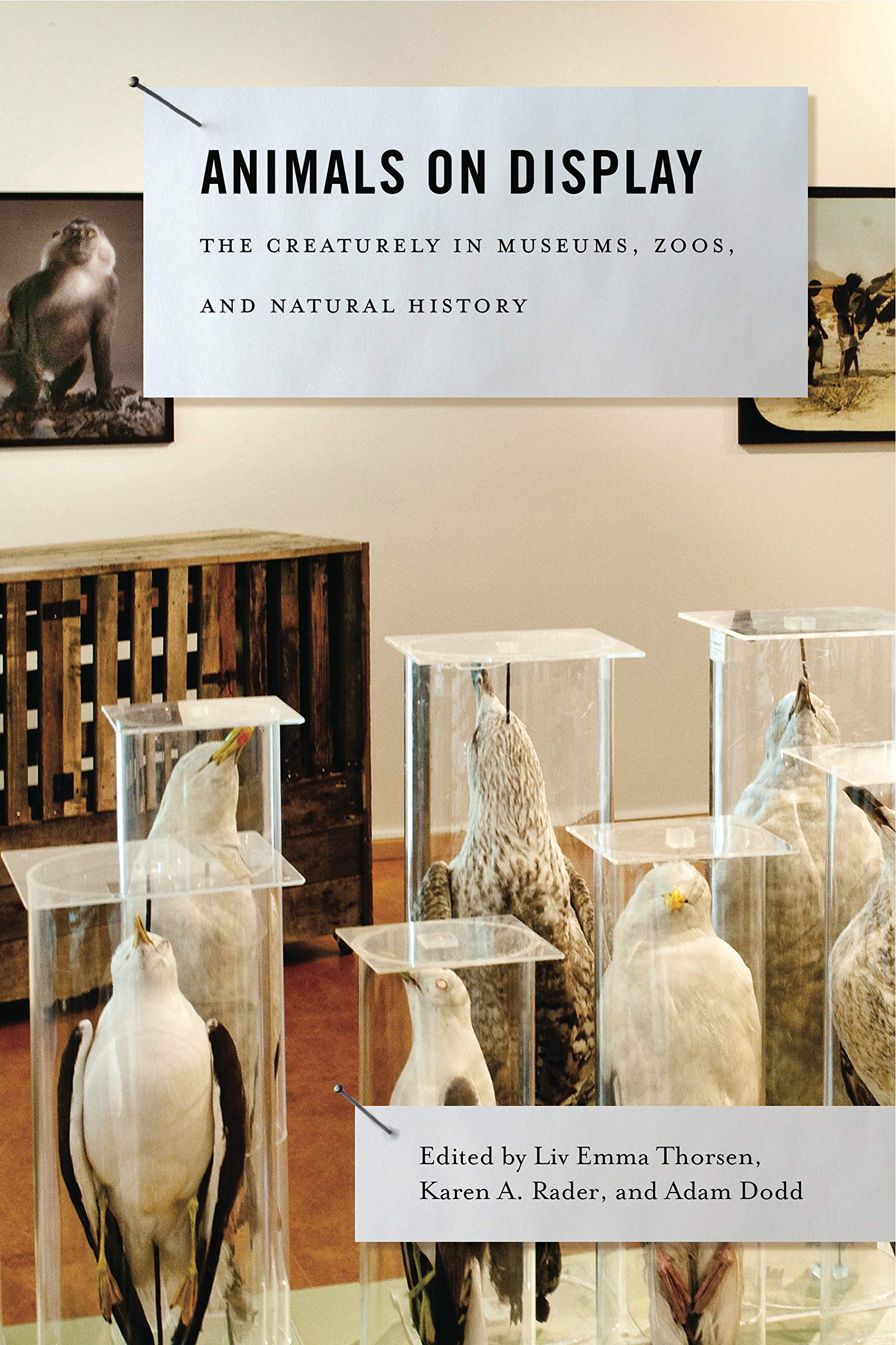 Animals on Display: The Creaturely in Museums, Zoos, and Natural History: 3 (Animalibus: Of Animals and Cultures)