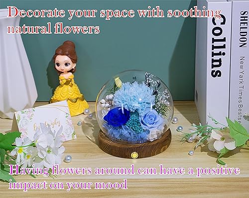 Miniatura 10 de Valley of Rain & Forest Flores reales de larga duración, regalo floral único para que envíes amor para todas las ocasiones, para decoración de