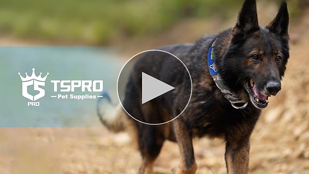 TSPRO Premium Hondenhalsband met Patches, Verstelbare Dikke Halsband