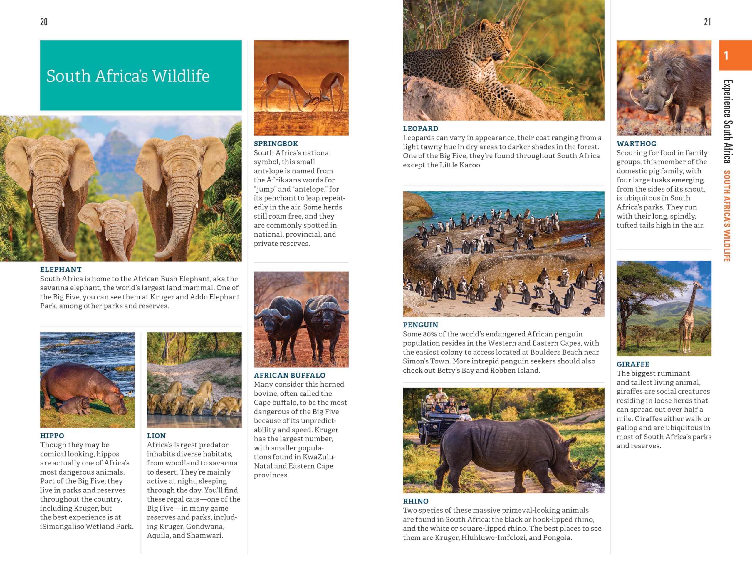 Fodor's Essential South Africa: with the Best Safari Destinations and Wine Regions (Full-color Travel Guide)