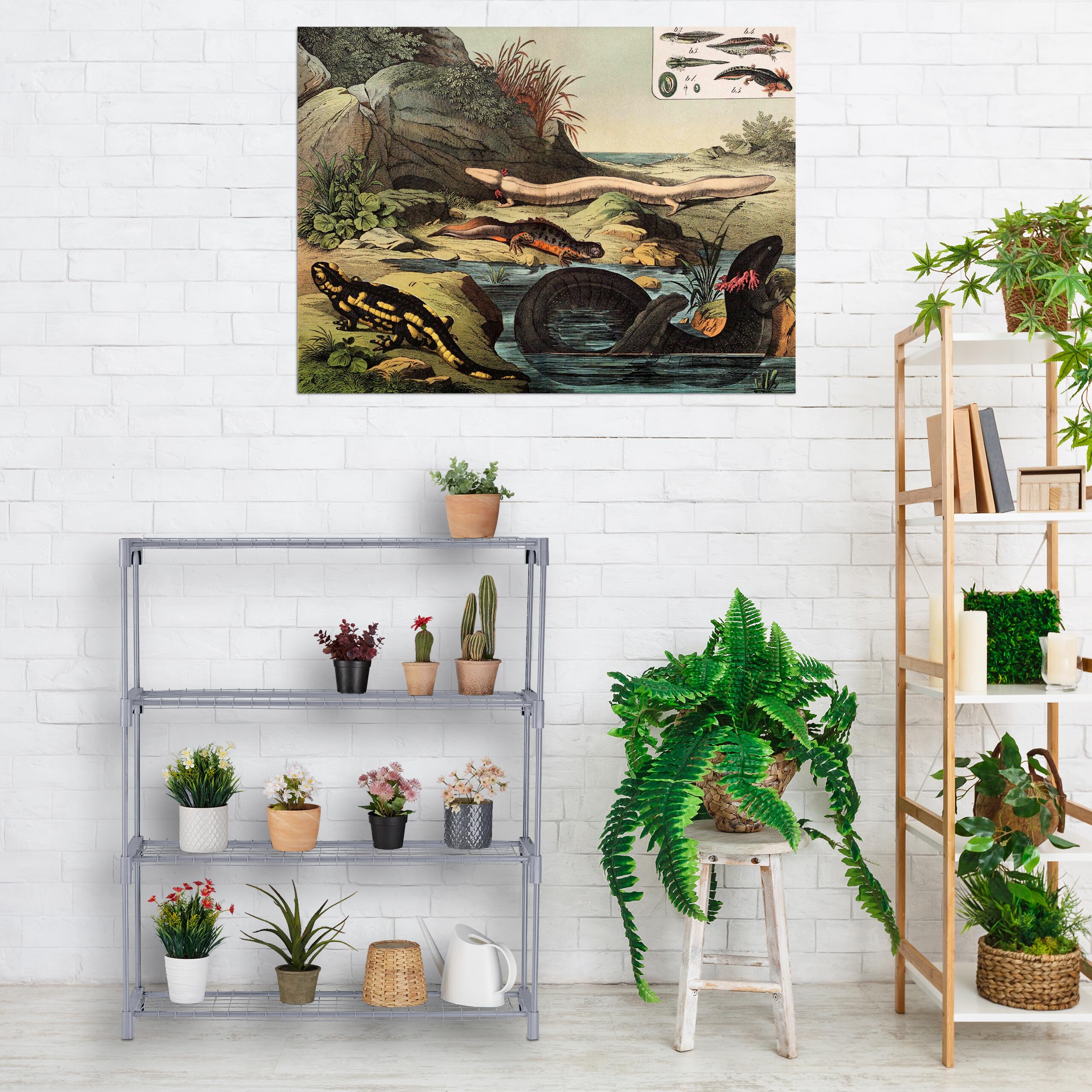 Relaxdays Étagère à Plantes, 4 Niveaux, pour Vos trésors Verts, métal et Plastique, H x L x P : 106 x 91 x 28 cm, Grise