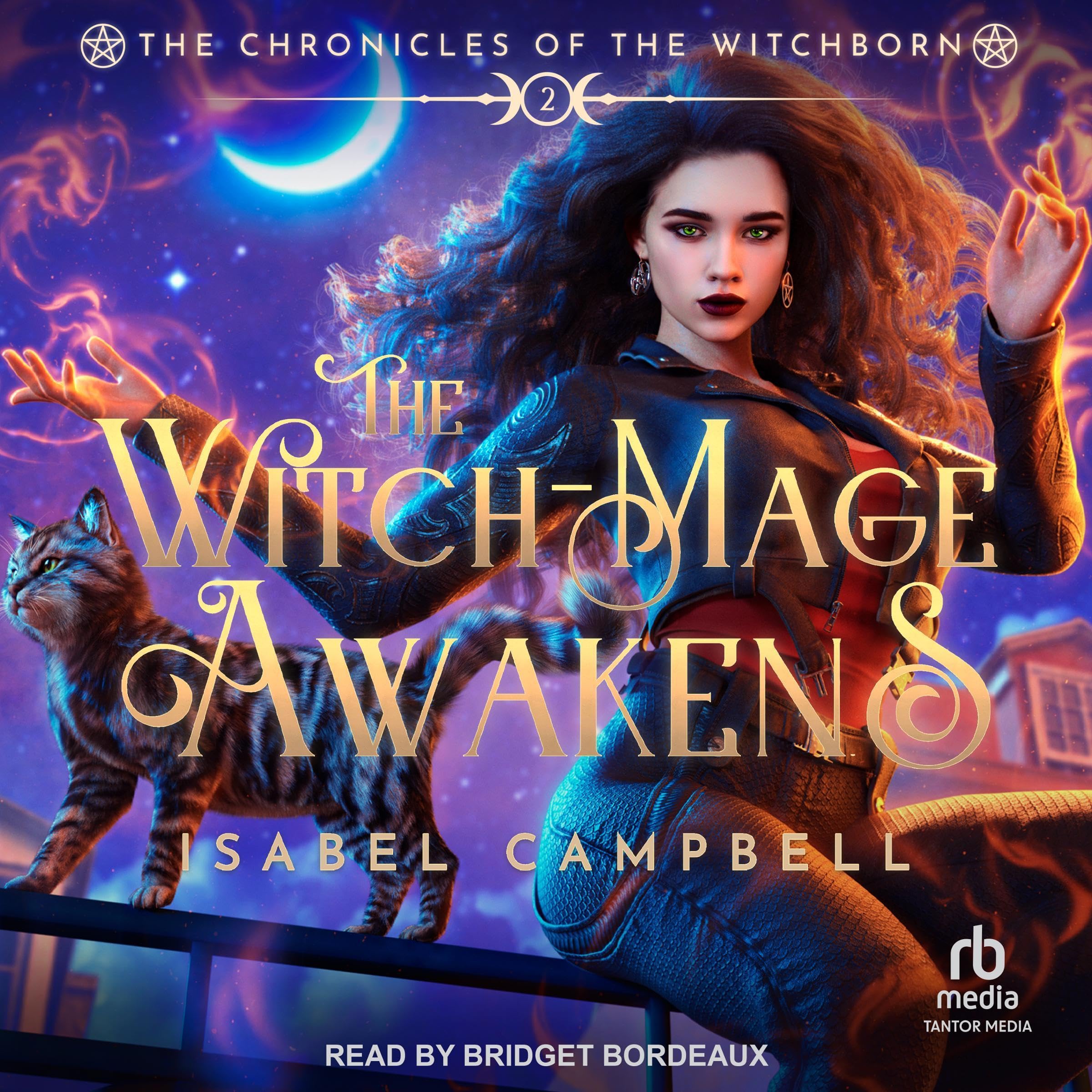 Cover art for The Witch-Mage Awakens