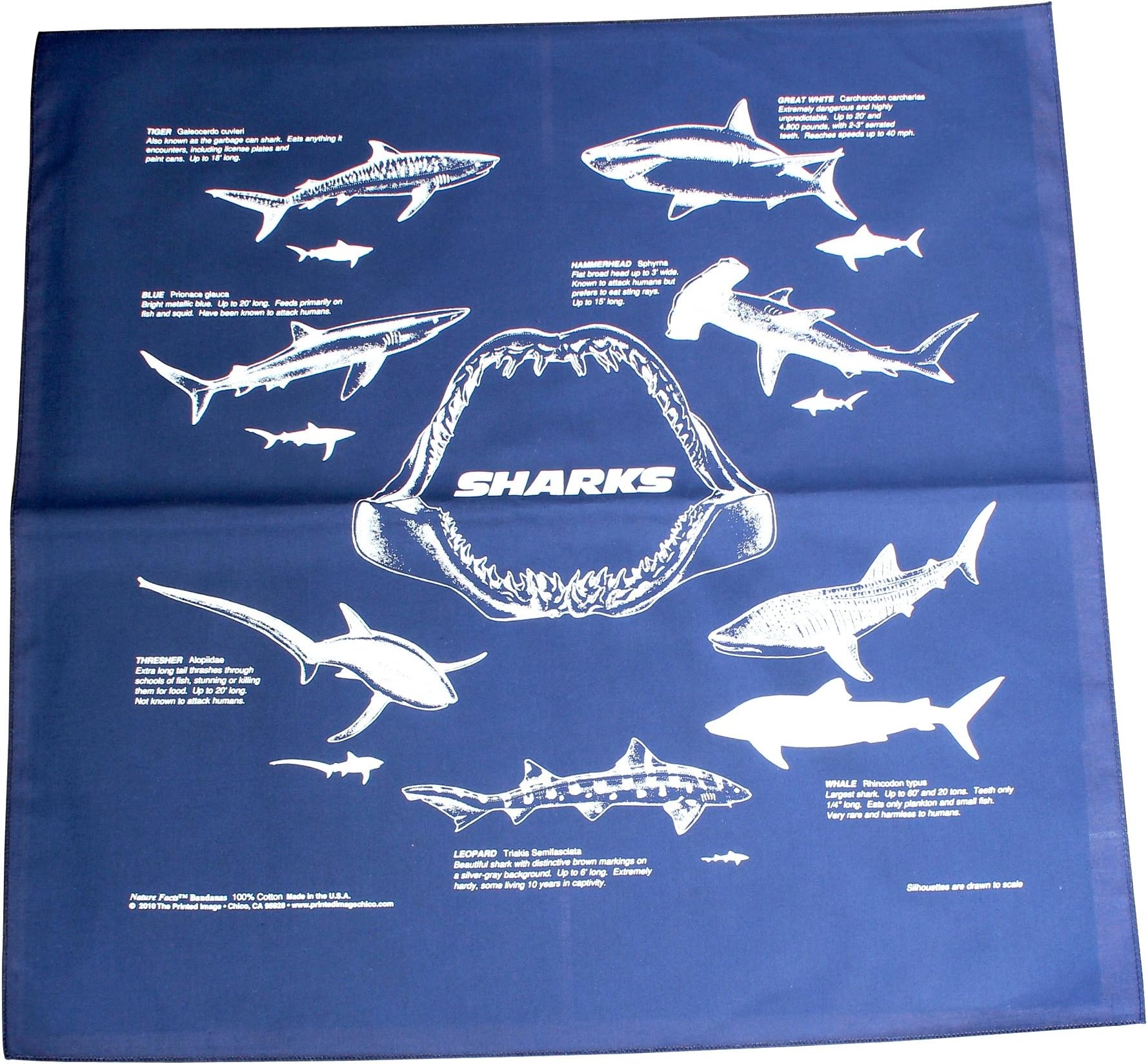 Sharks (Navy) Bandana