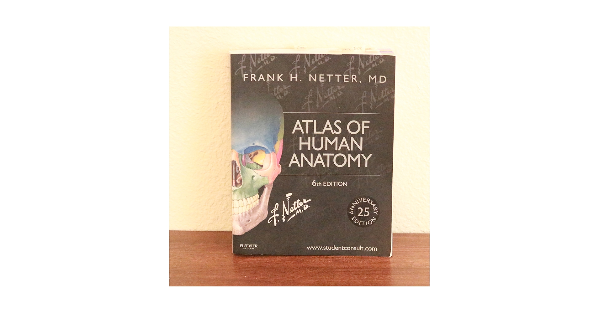 健康・医学 ATLAS OF HUMAN ANATOMY 6th EDITION Netter's Atlas of Human Anatomy(6th Edition) by MD BIAN