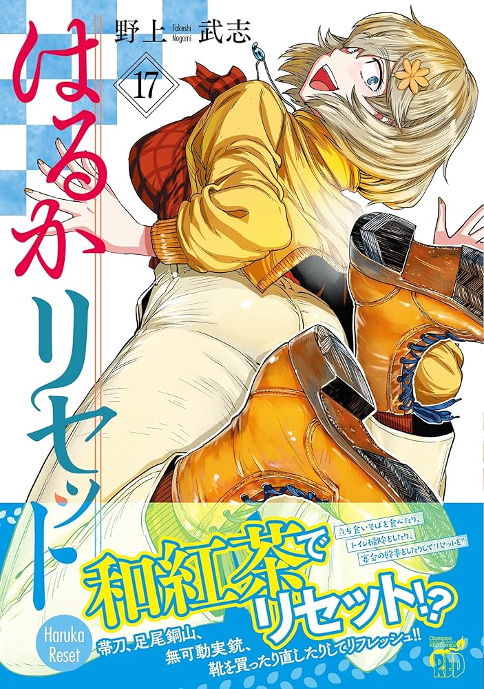 はるか17(セブンティーン) コミック 全19巻完結セット (モーニングKC) khxv5rg はるか17(セブンティーン) コミック 全19巻完結セット