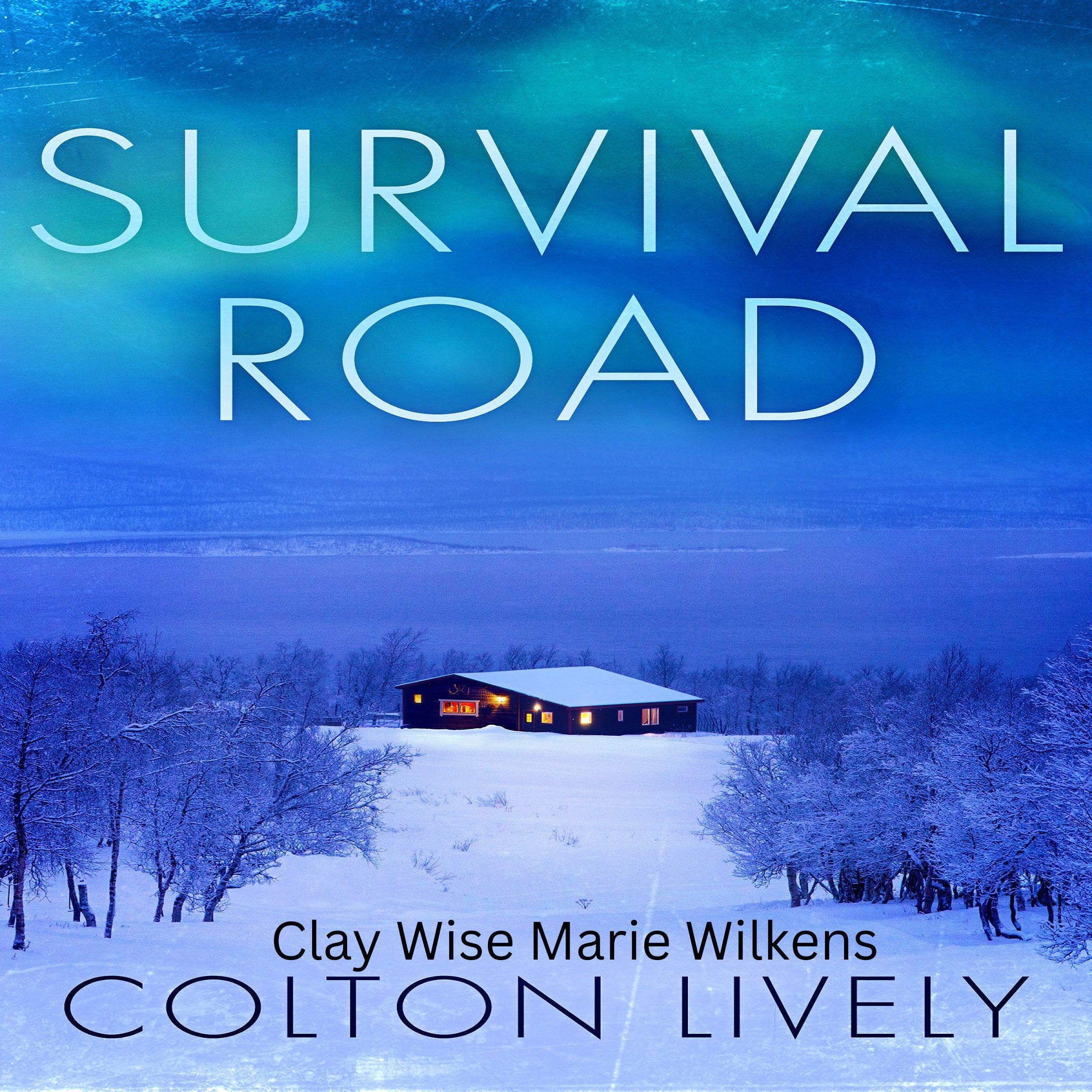 Cover art for Survival Road