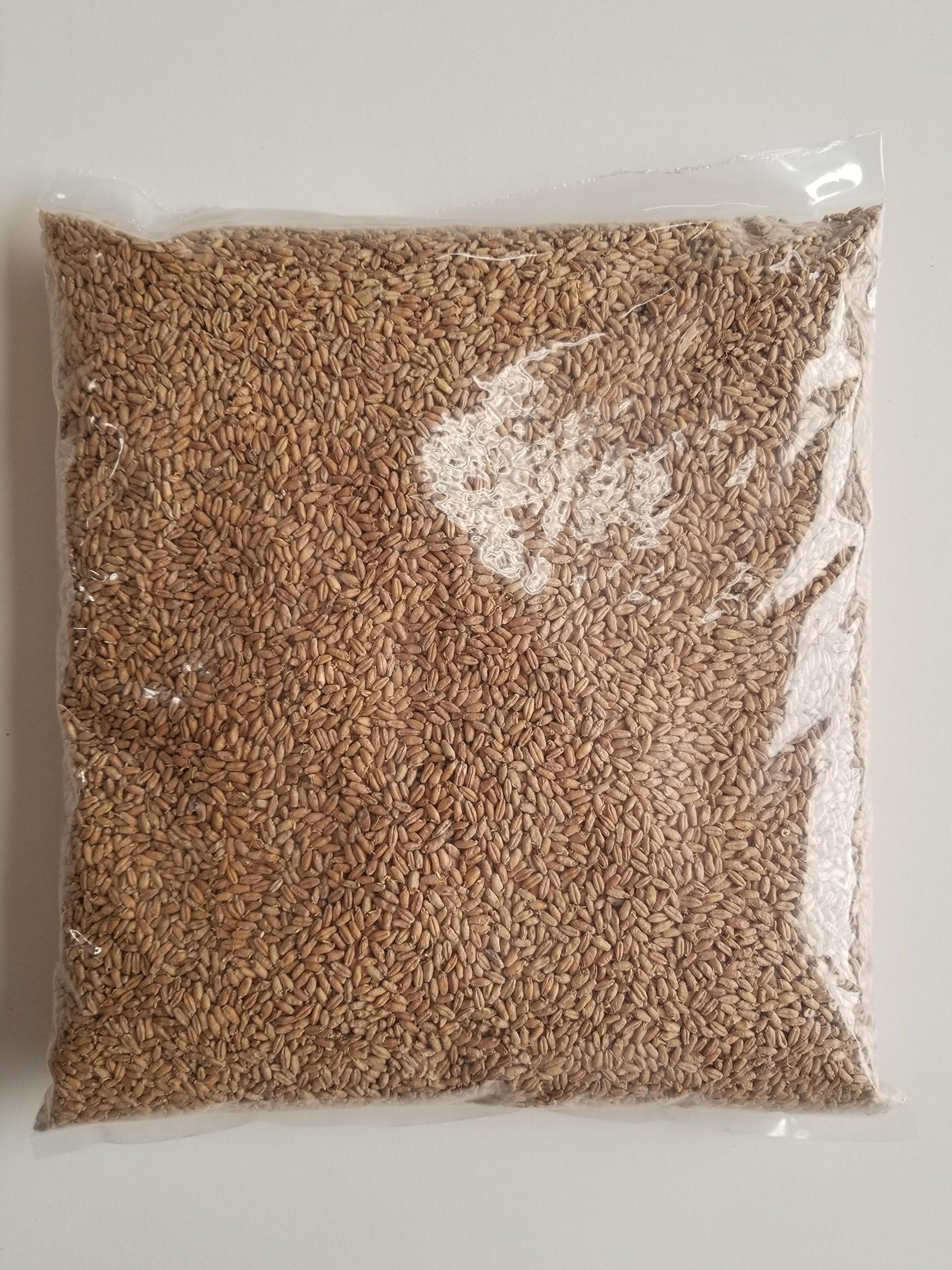 Haus Malts Malted Triticale 5lb Bag