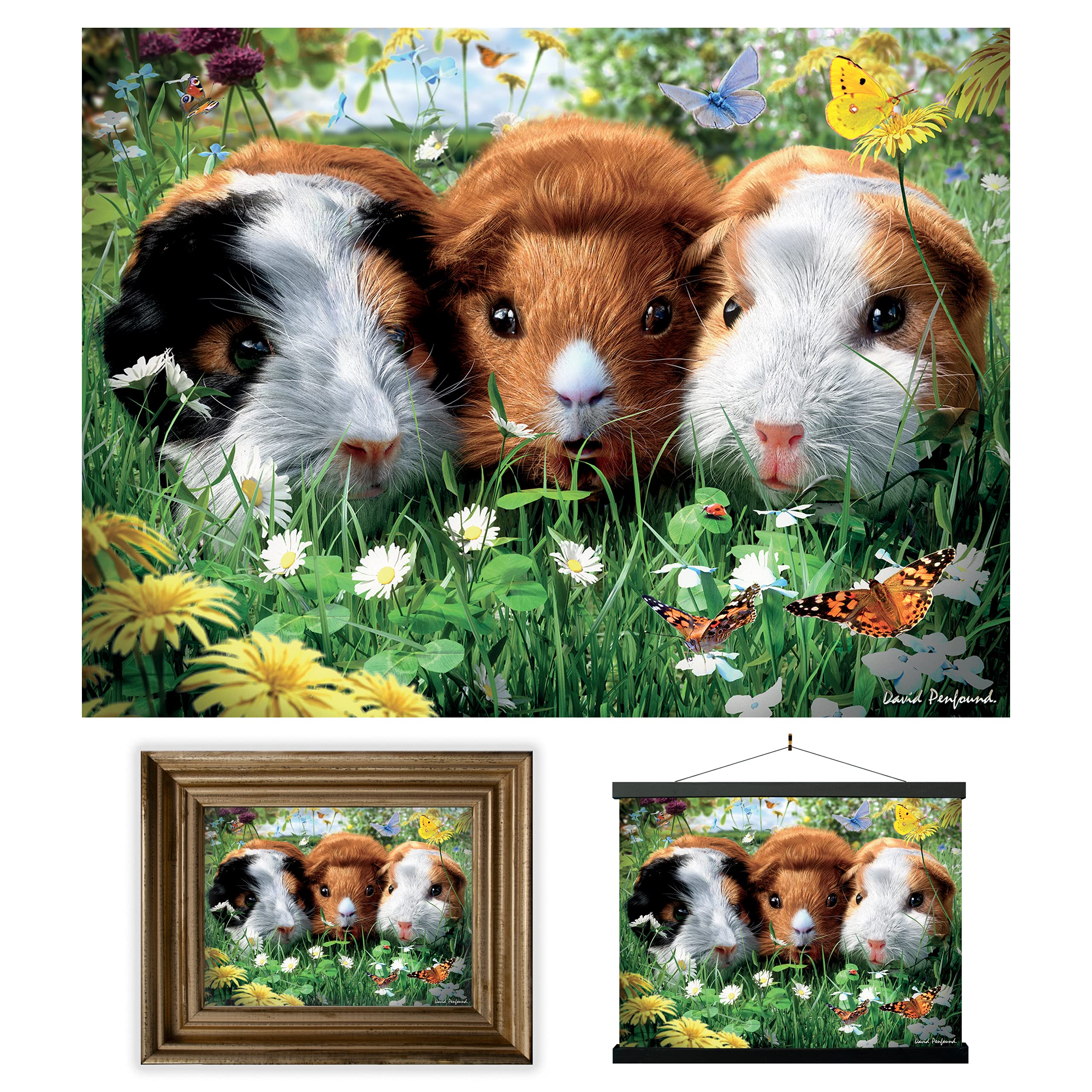 3D LiveLife Lenticular Wall Art Prints - Guinea Pigs from Deluxebase. Unframed 3D Pet Poster. Perfect wall decor. Original artwork licensed from renowned artist, David Penfound