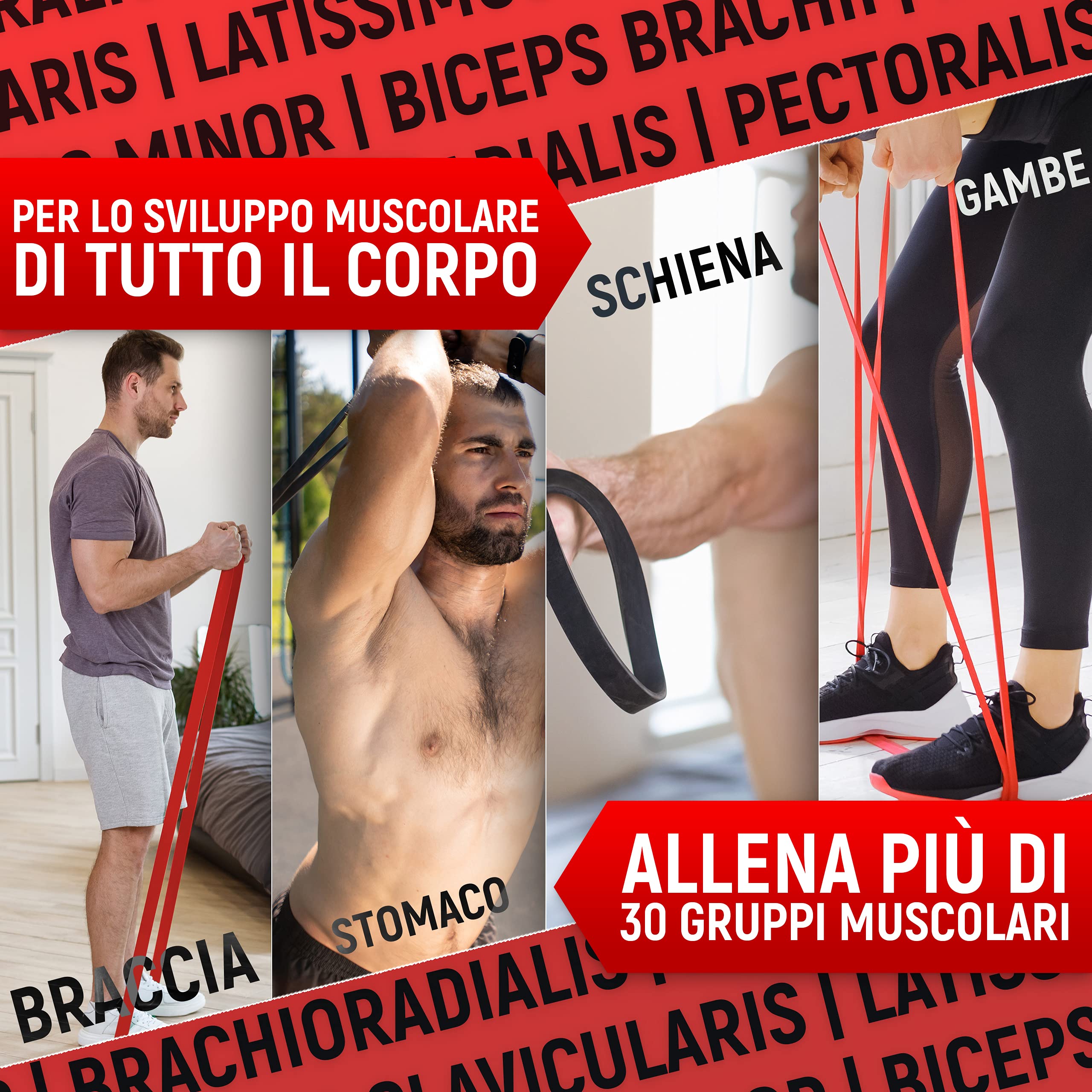 NEOLYMP Elastici fitness in gomma naturale – elastico fitness fasce elastiche fitness bande elastiche fitness elastici palestra
