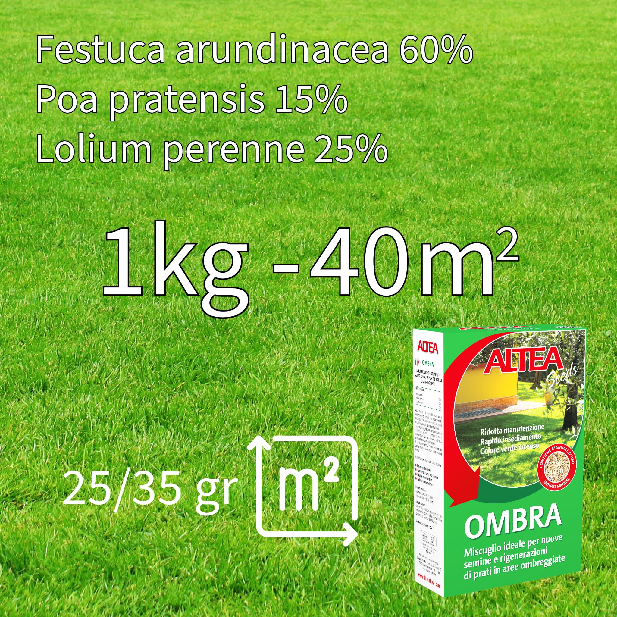Semi Prato Altea 1kg Per 50mq - Miscuglio Resistente Al Calpestio E Siccità - Foto 4