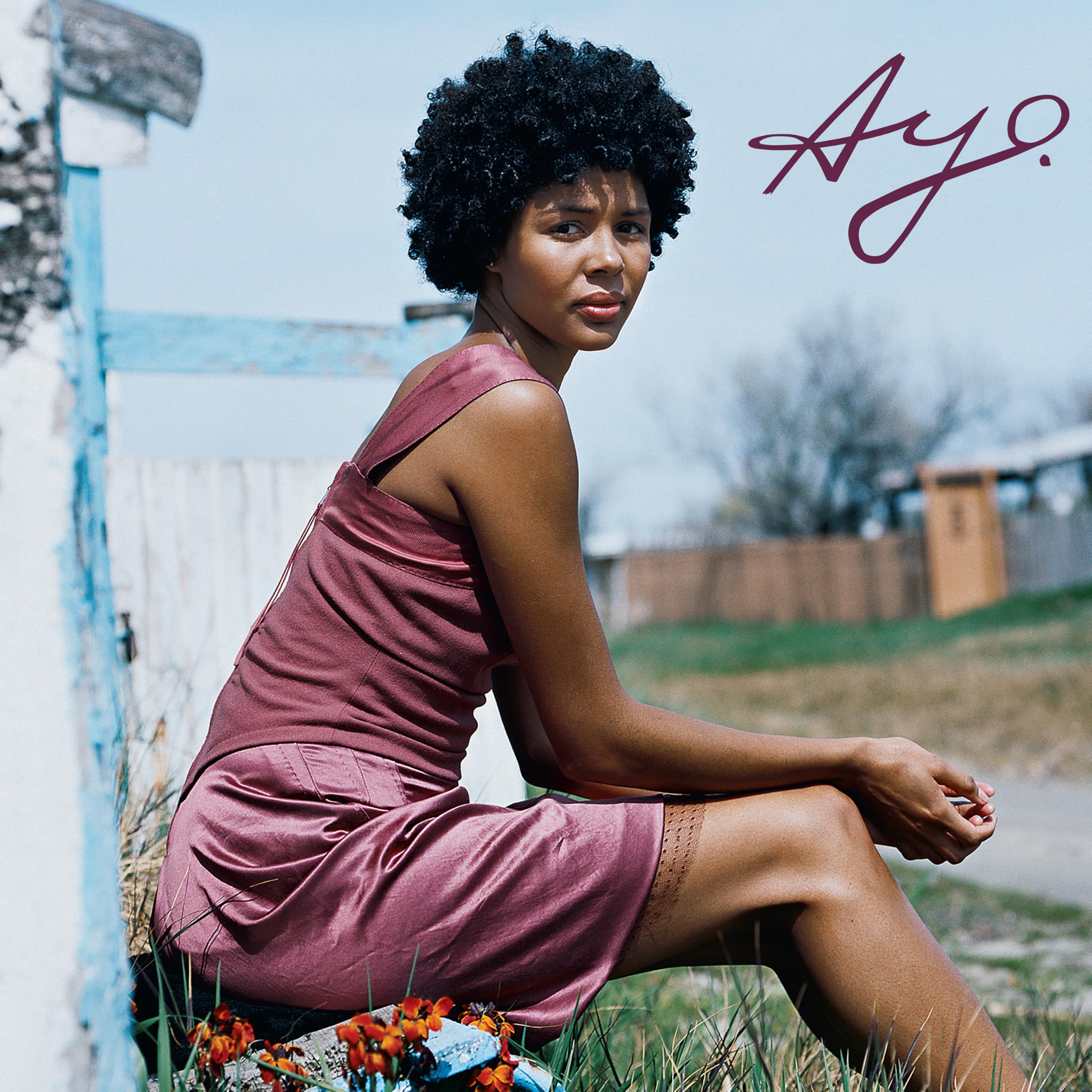 Joyful [VINYL]