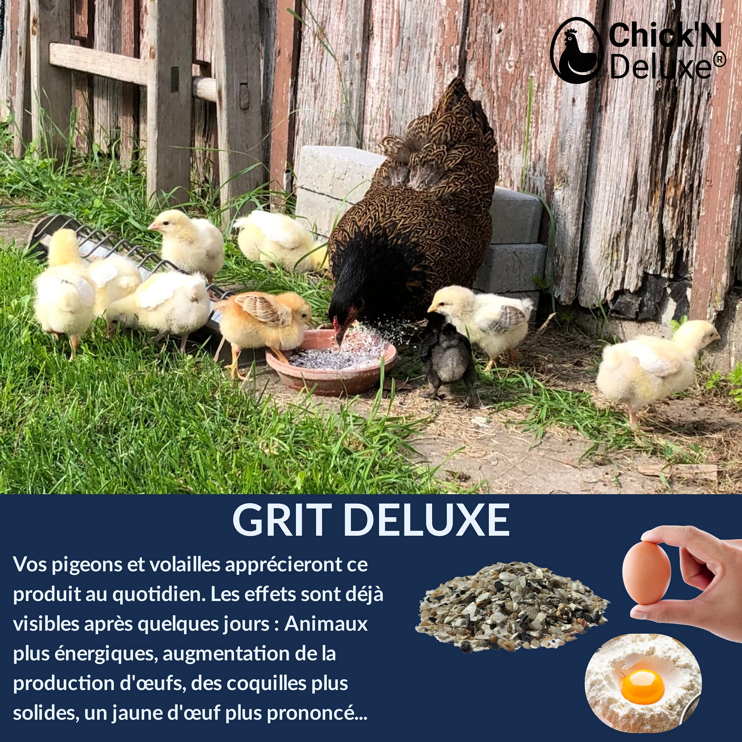 Chick'N Deluxe® Grit Deluxe 5Kg. Complément Alimentaire pour Pigeons/volailles. Mélange de minéraux, Charbon Actif et enrichi l'anis pour Une Digestion Parfaite. Renforce Aussi la Coquille d'oeuf.